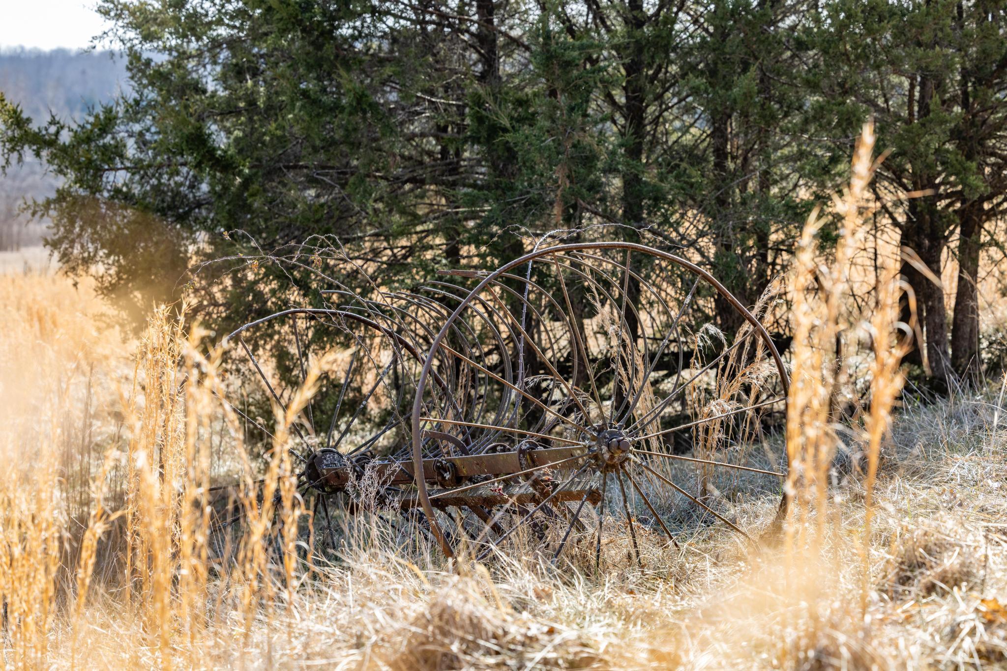 24816 Co Property Photo 79
