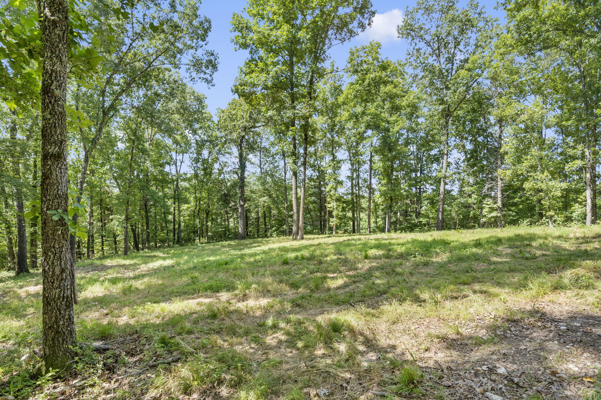 Lot 19 Mccord Bend Road Property Photo