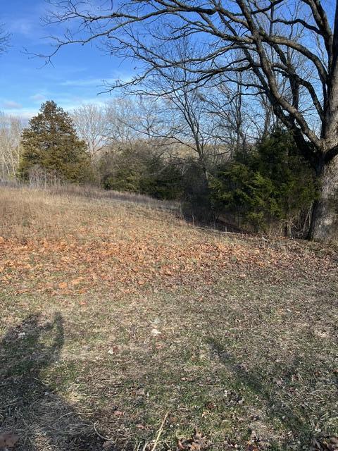 3234 State Highway H Property Photo 26