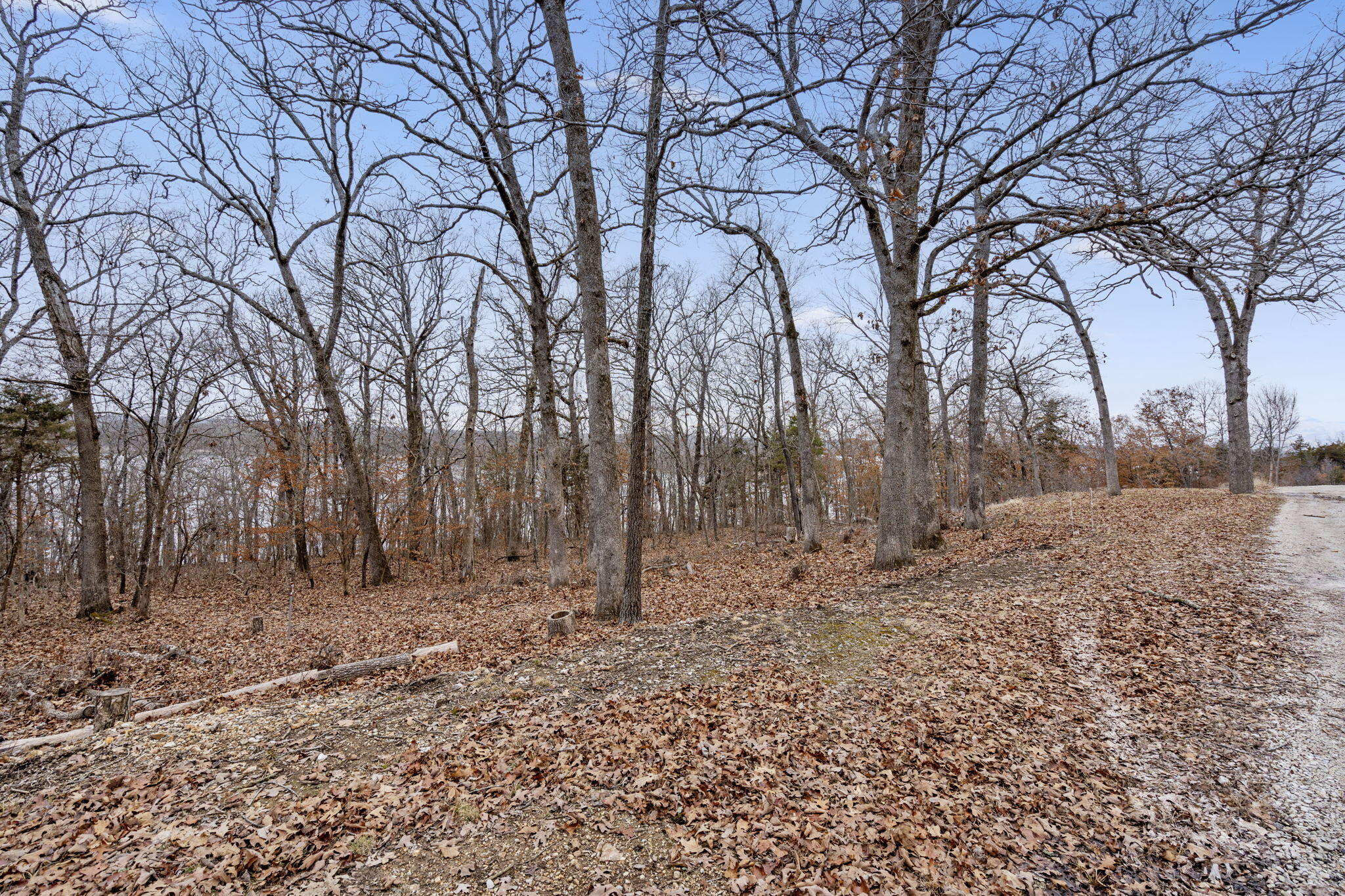 24329 Beach Road Property Photo 36