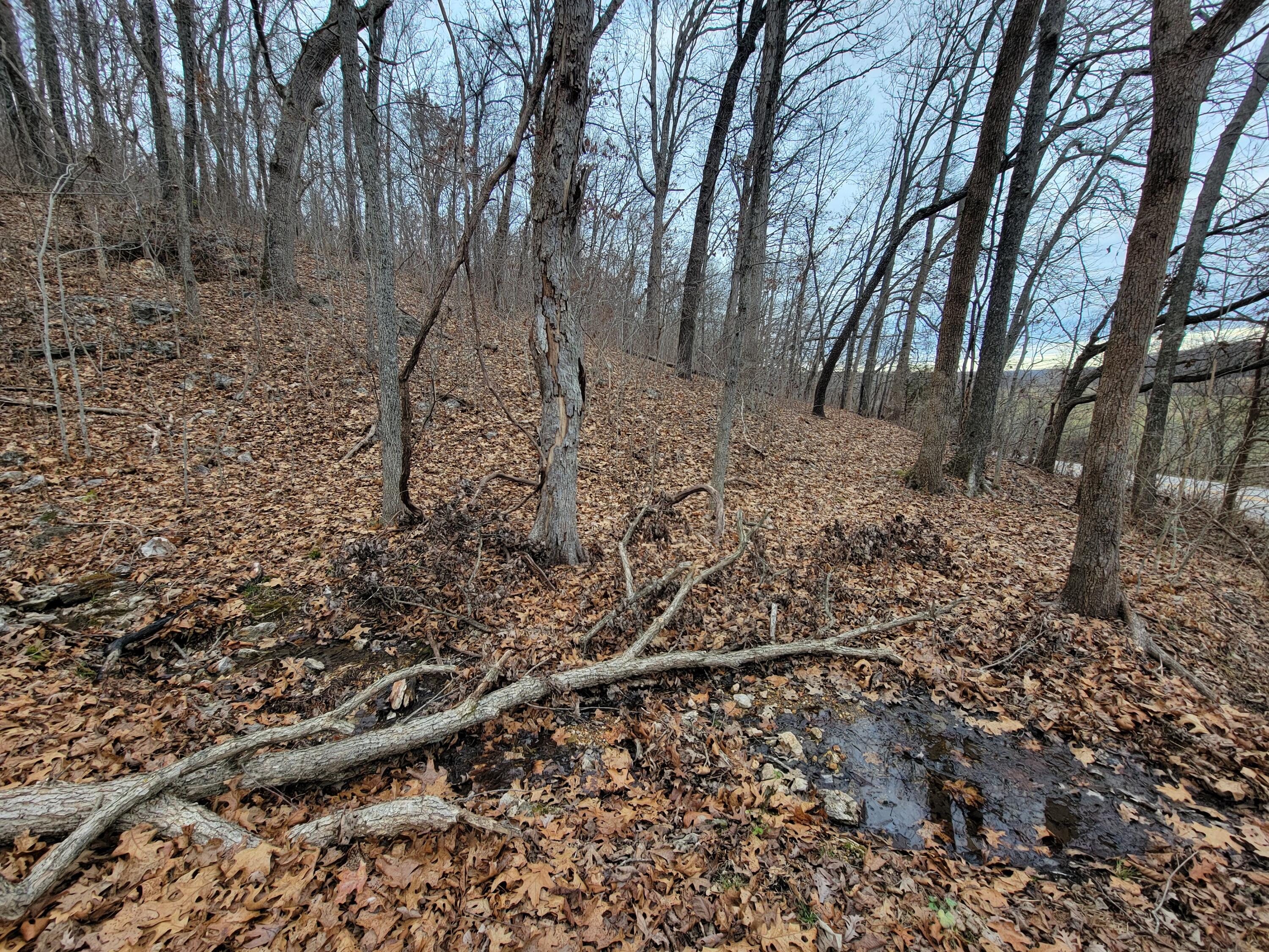000 State Highway Z Property Photo 2