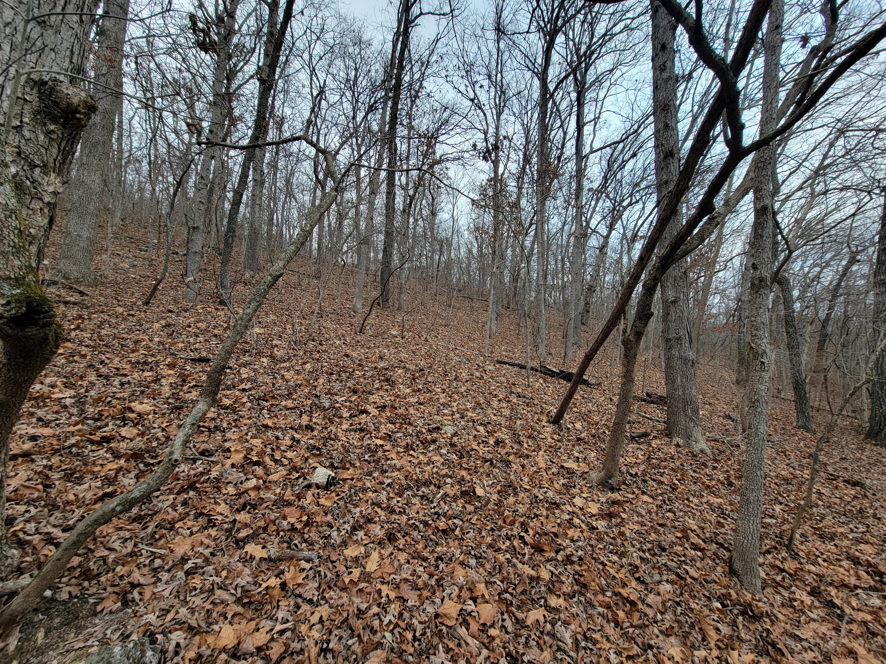 000 State Highway Z Property Photo 3