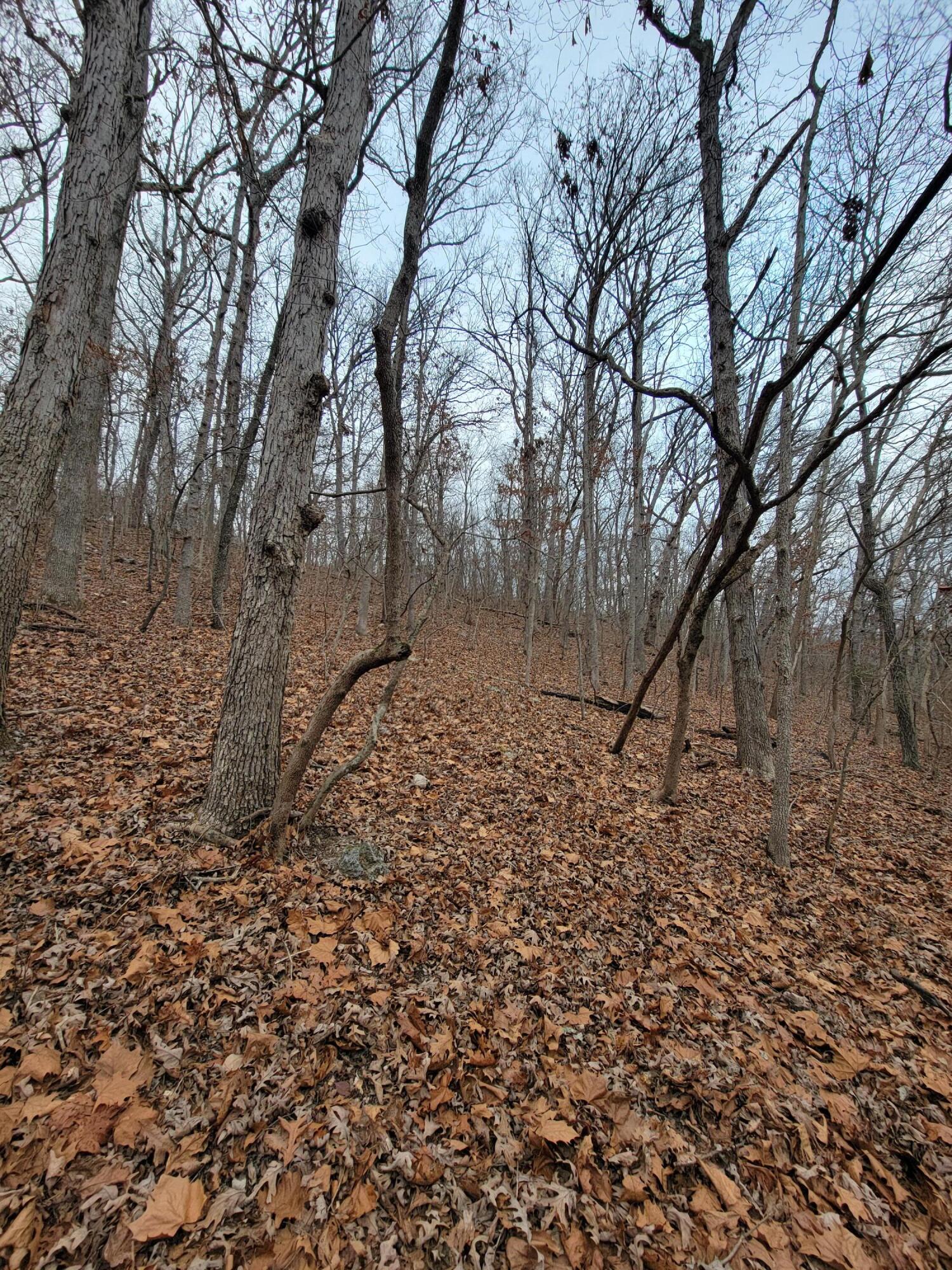 000 State Highway Z Property Photo 4
