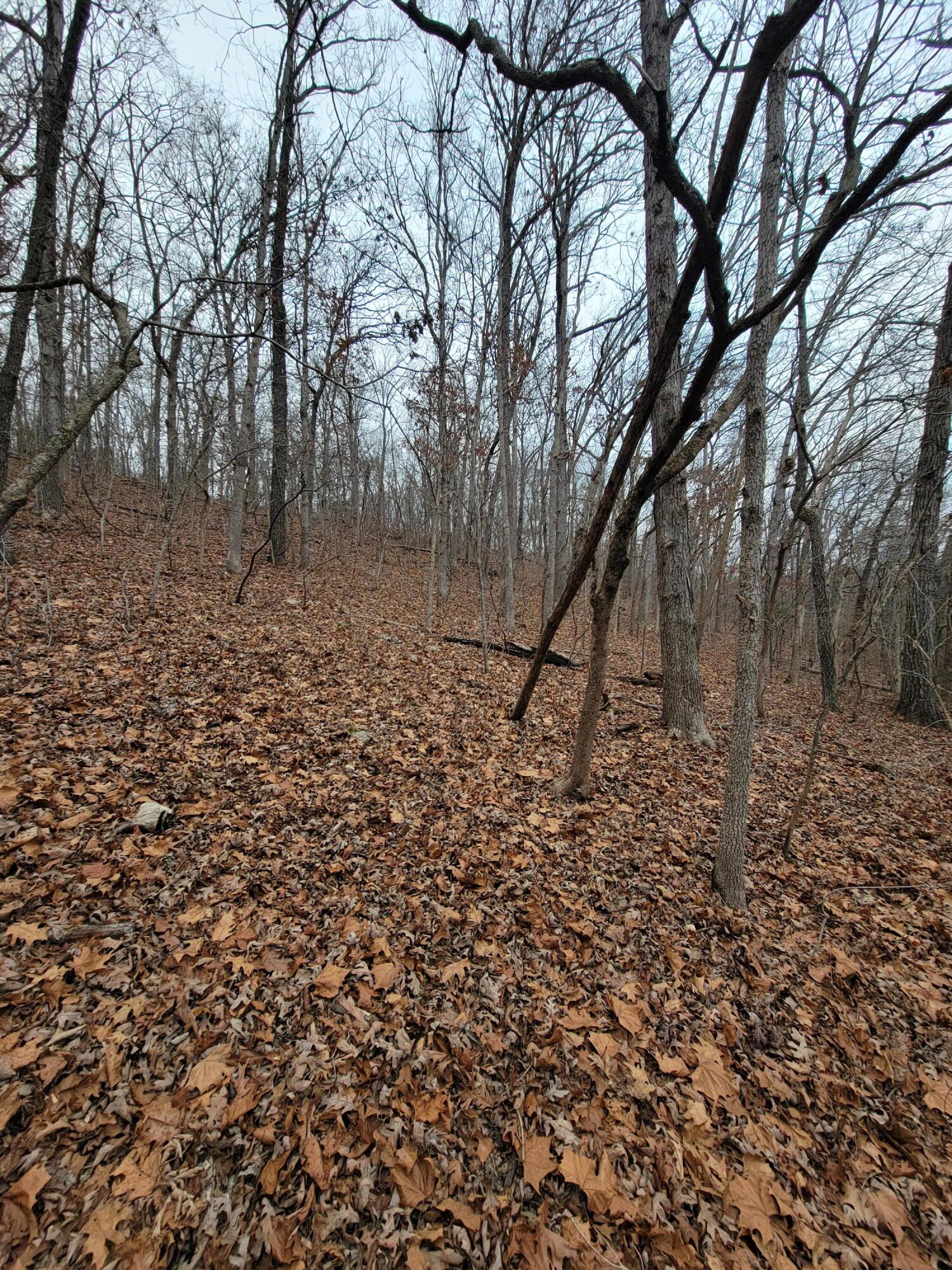 000 State Highway Z Property Photo 5