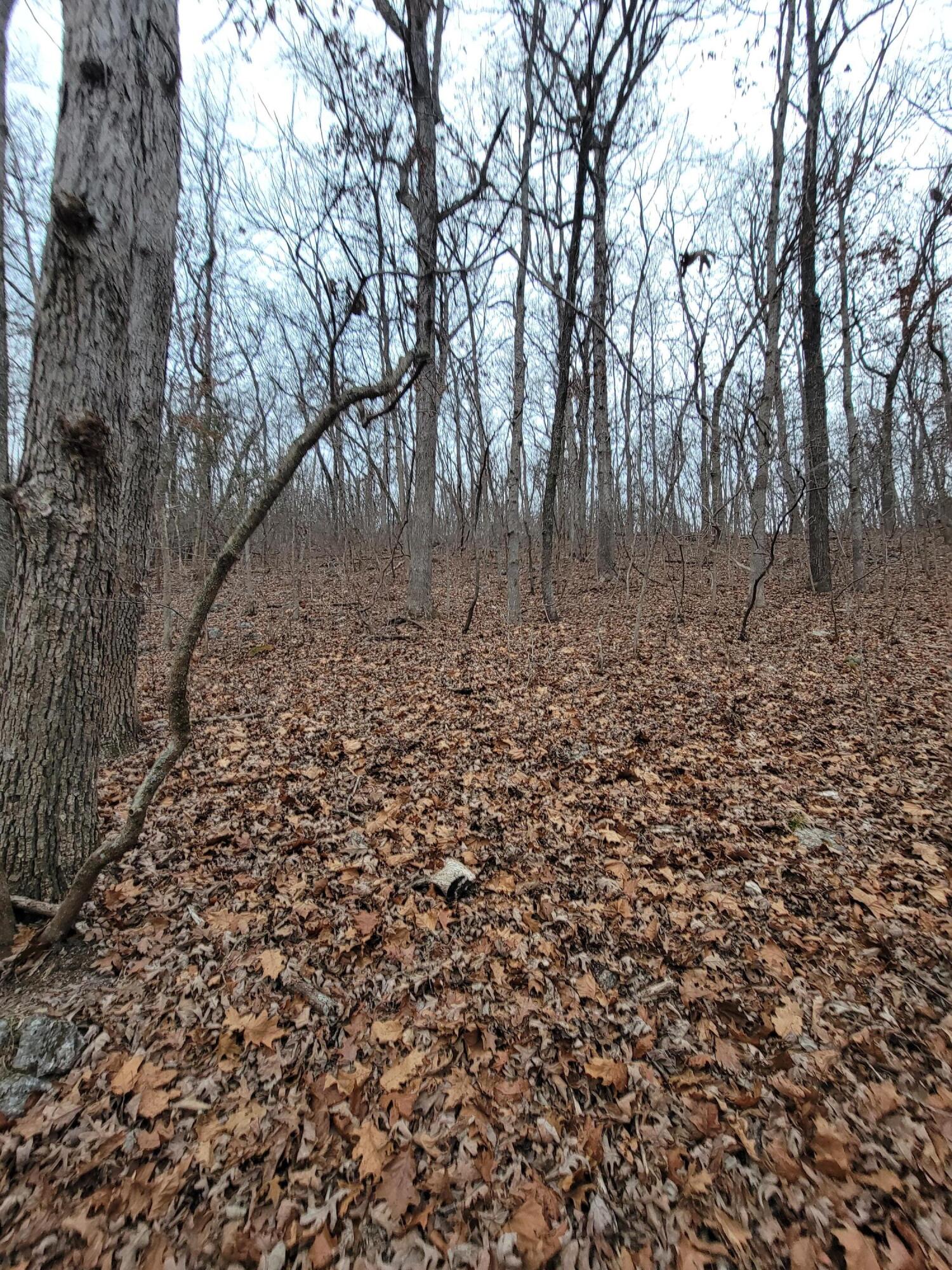 000 State Highway Z Property Photo 7
