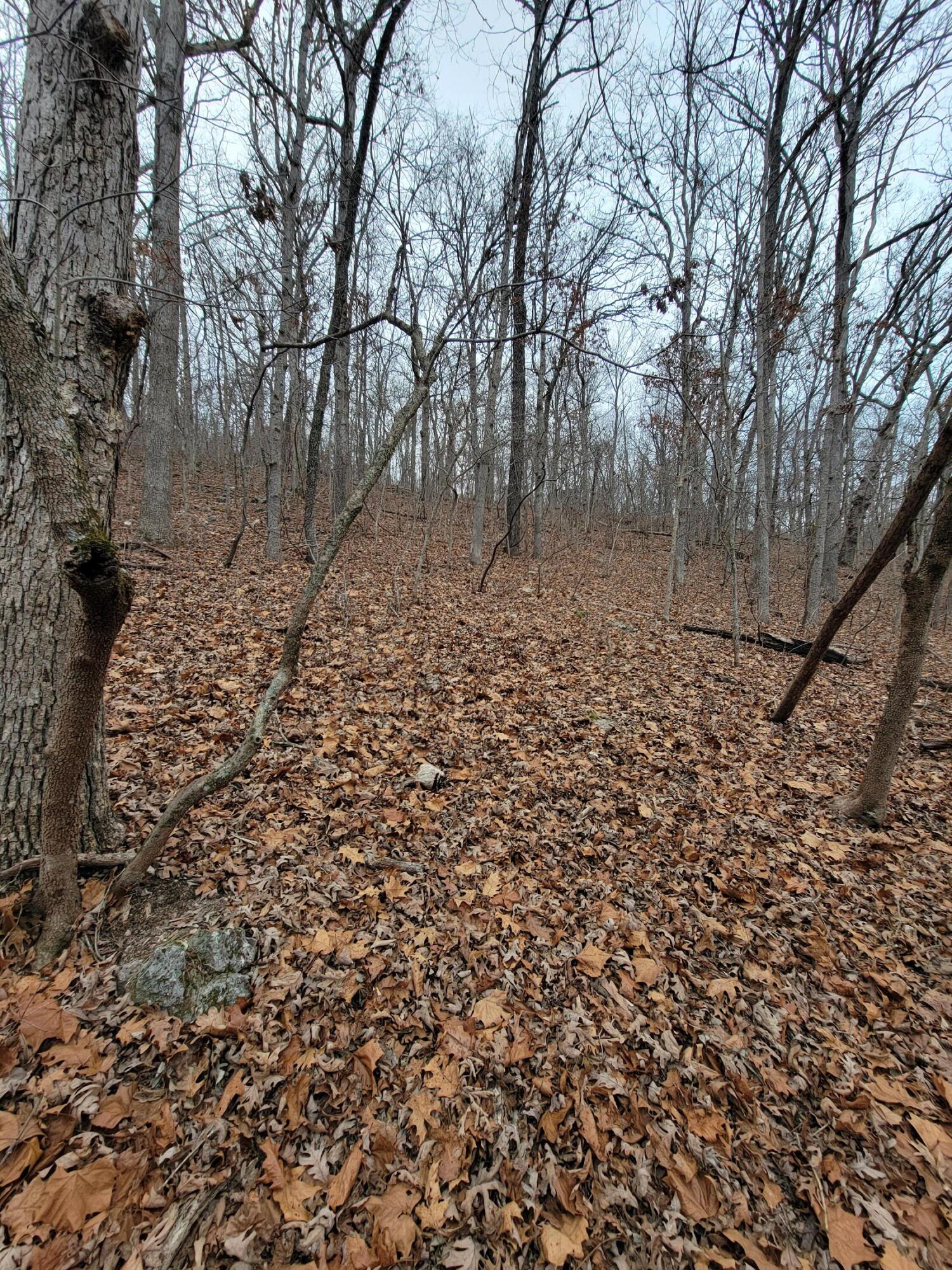 000 State Highway Z Property Photo 8