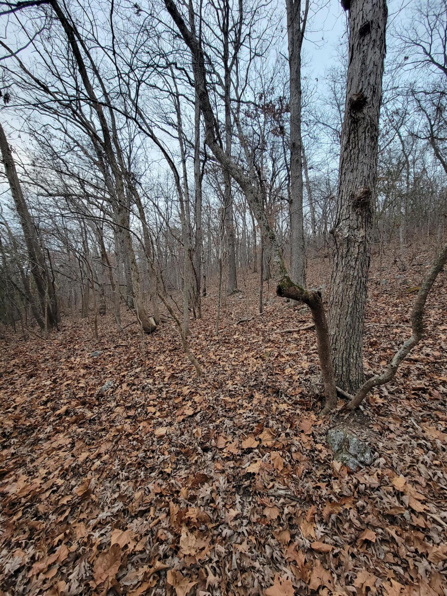 000 State Highway Z Property Photo 9