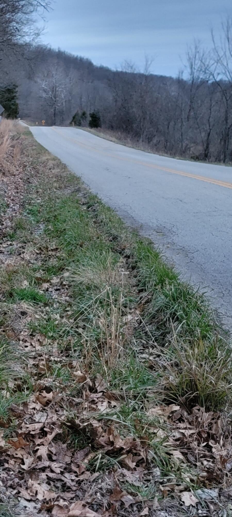 000 State Highway Z Property Photo 11