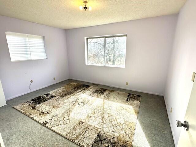 160 Old Glory Road Property Photo 10