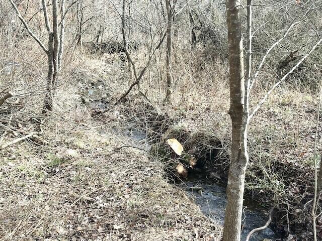 160 Old Glory Road Property Photo 25