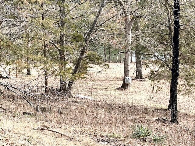 160 Old Glory Road Property Photo 29