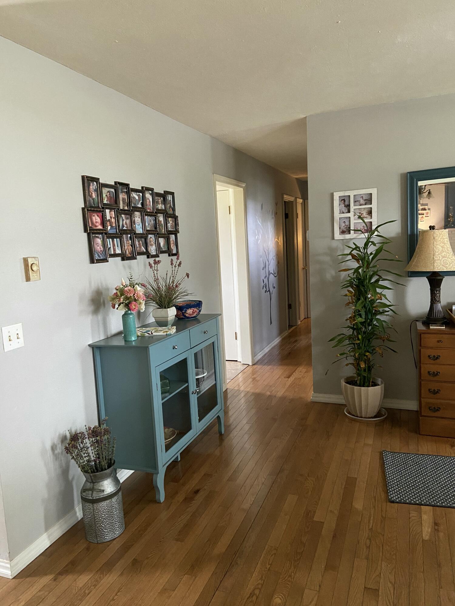 733 East Chestnut Street Property Photo 7