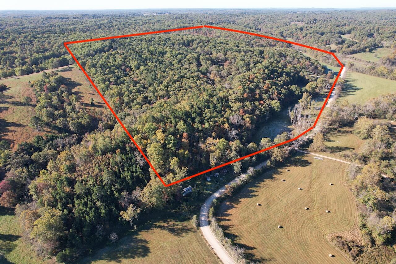 264 County Road 1130 Property Photo 4
