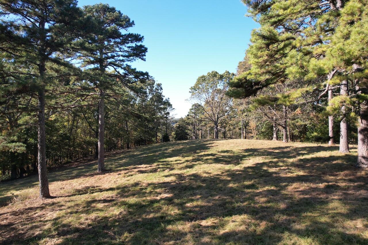 264 County Road 1130 Property Photo 6