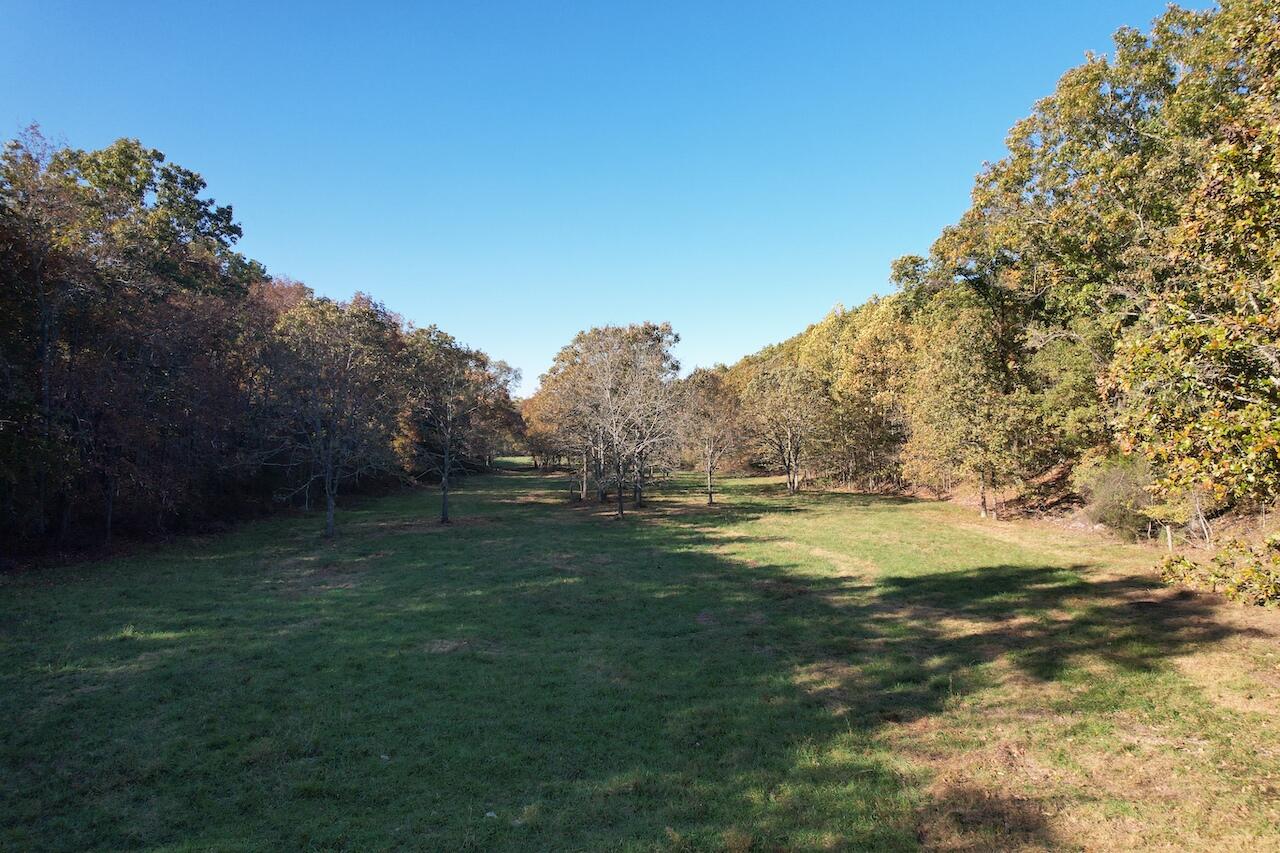 264 County Road 1130 Property Photo 9
