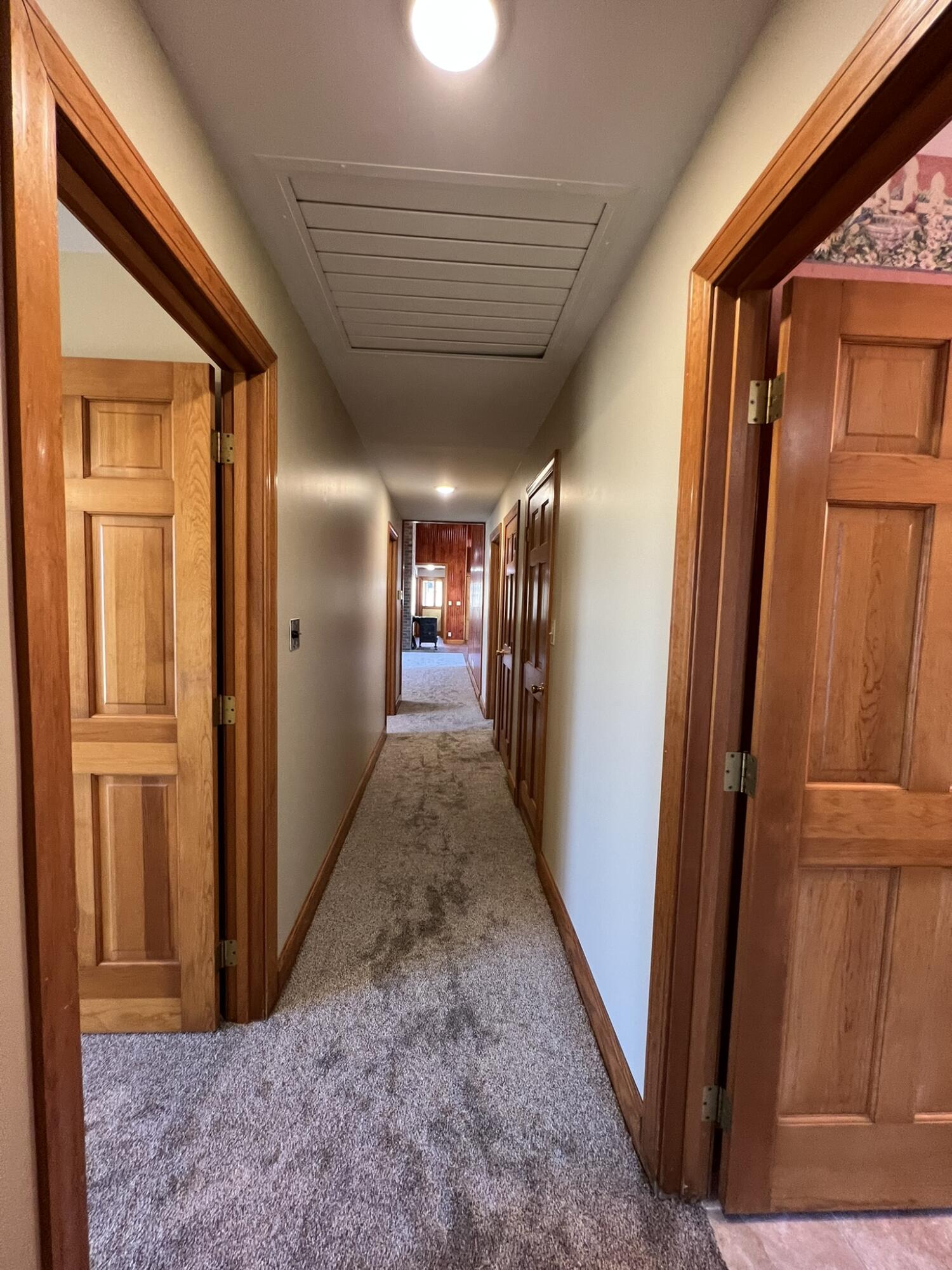 264 County Road 1130 Property Photo 50