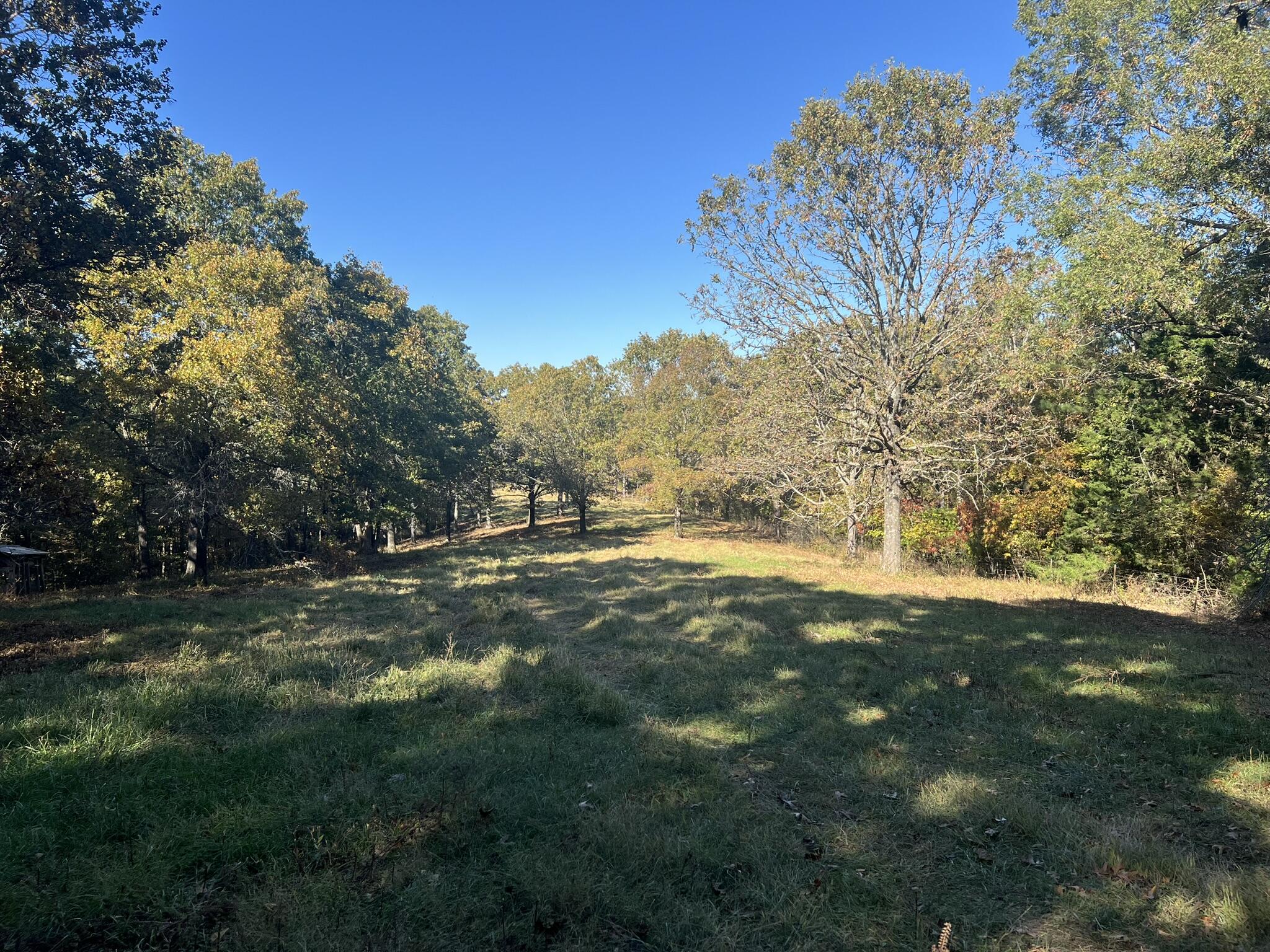 264 County Road 1130 Property Photo 79