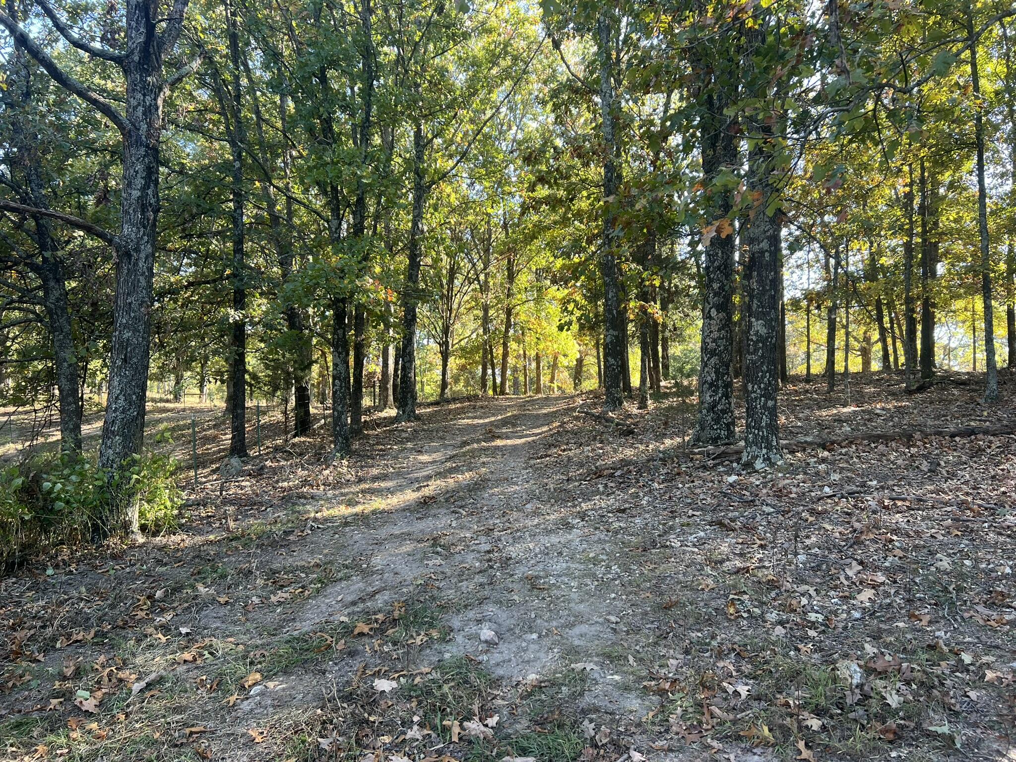 264 County Road 1130 Property Photo 81