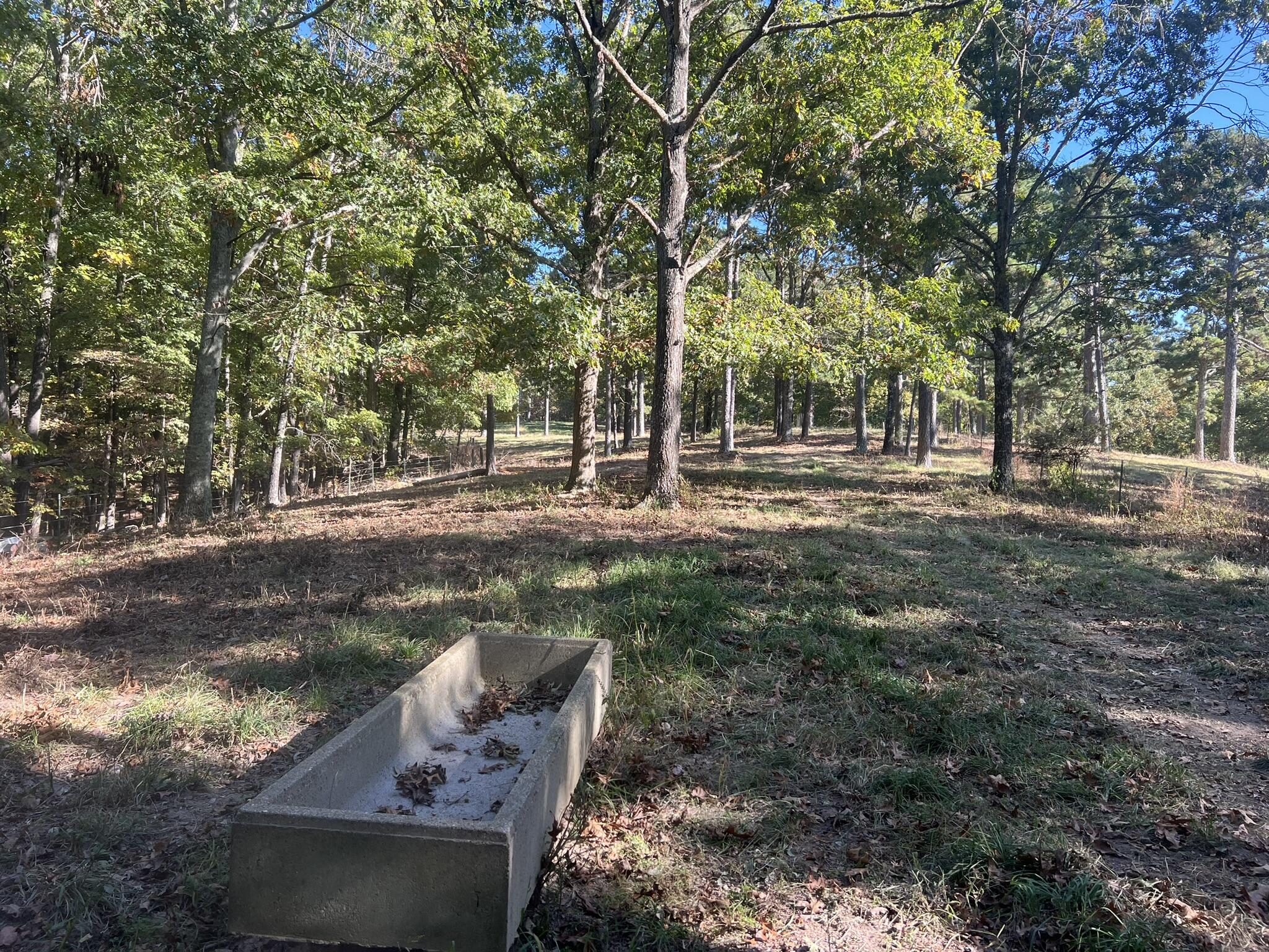 264 County Road 1130 Property Photo 82