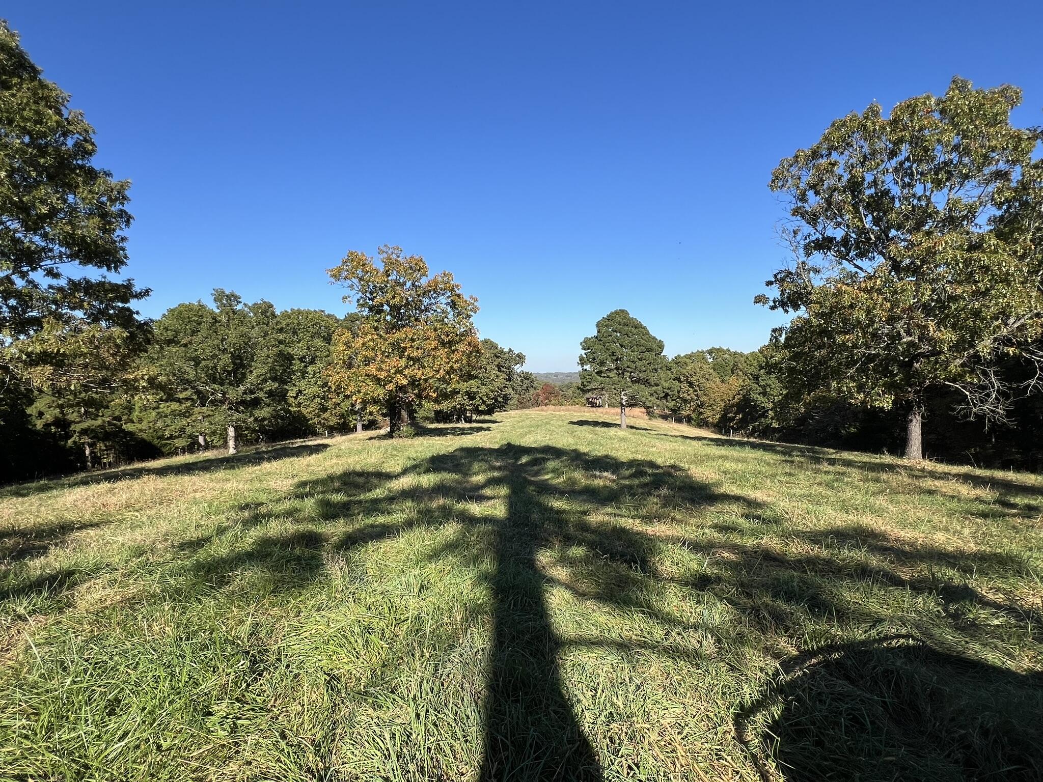 264 County Road 1130 Property Photo 85