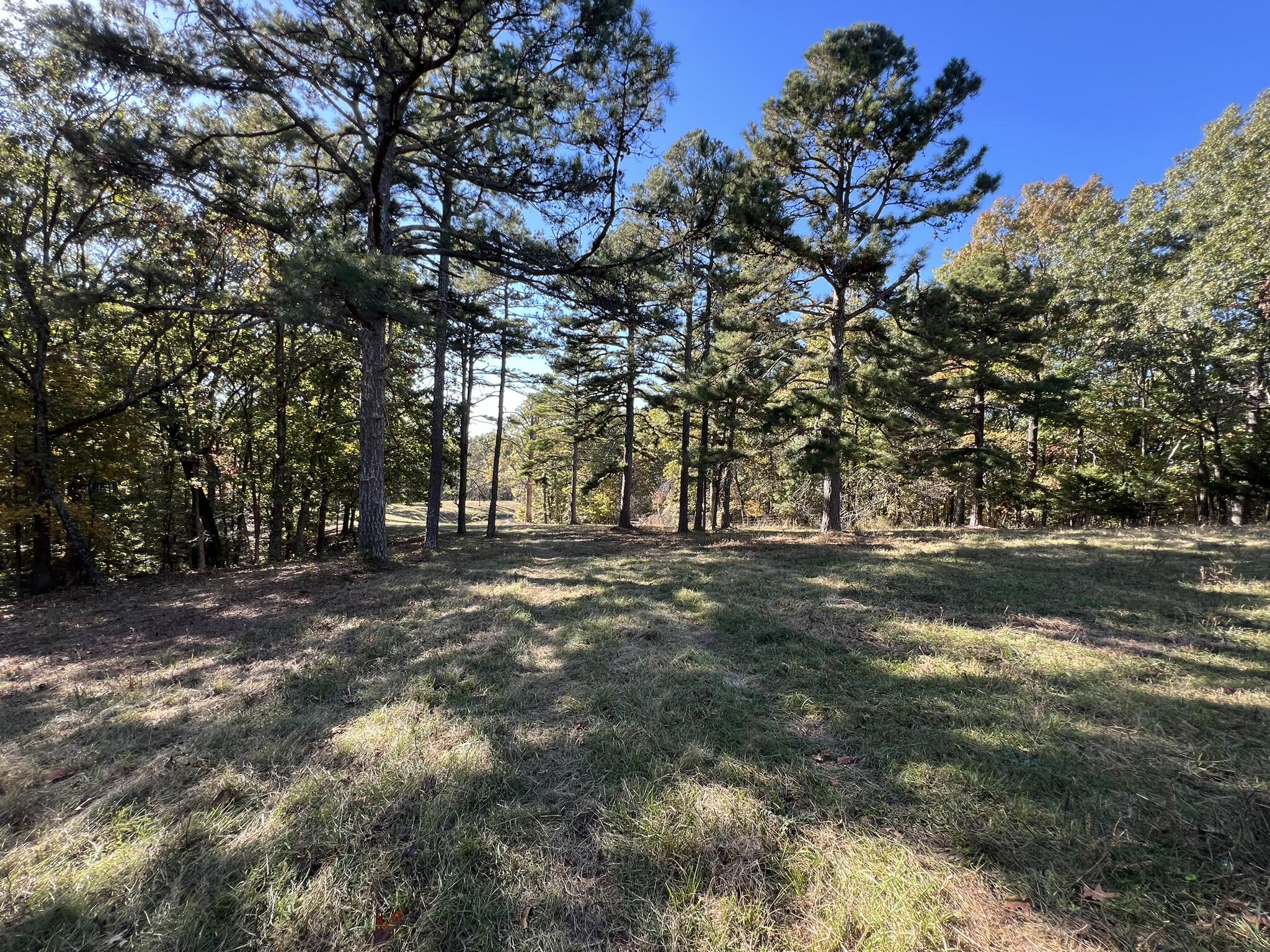 264 County Road 1130 Property Photo 88