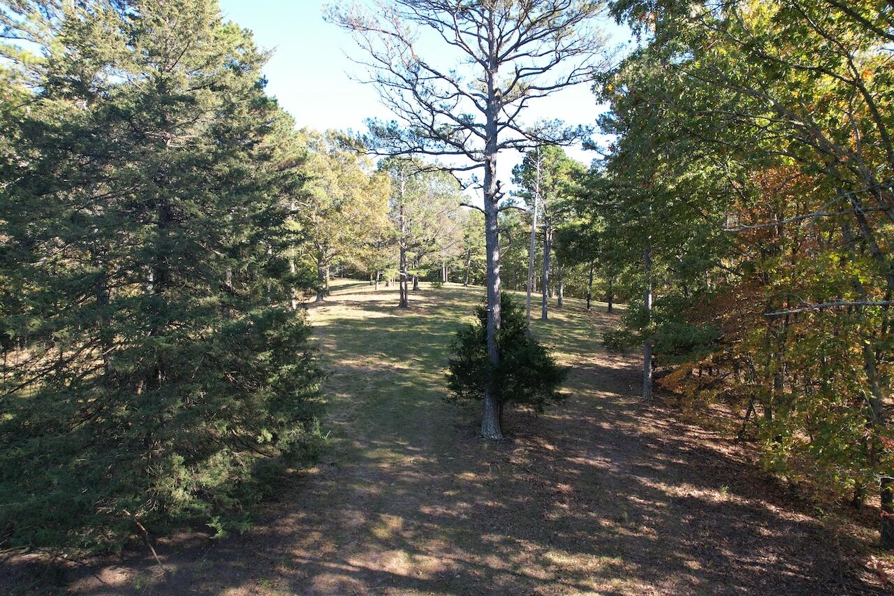 264 County Road 1130 Property Photo 89