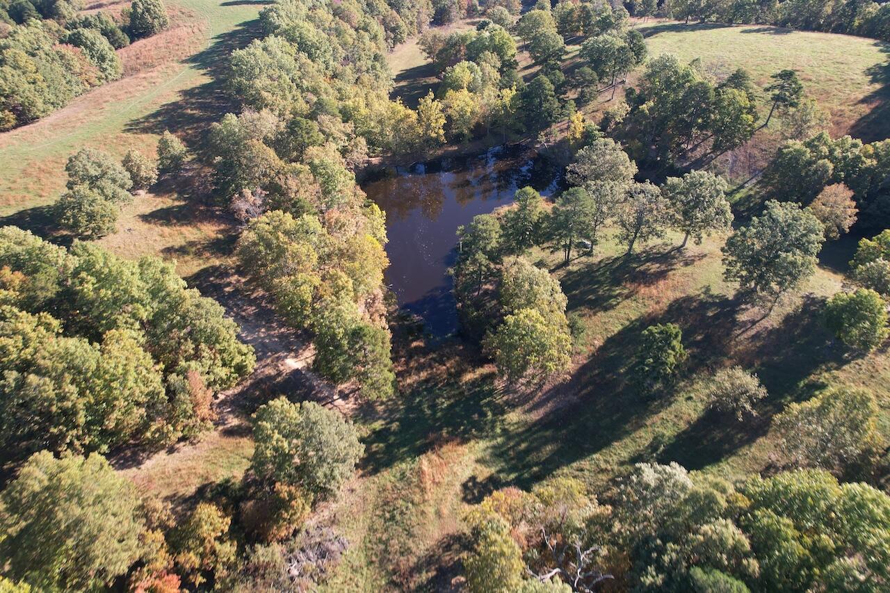 264 County Road 1130 Property Photo 91