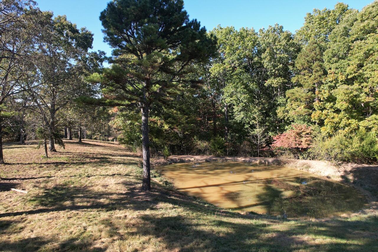 264 County Road 1130 Property Photo 94