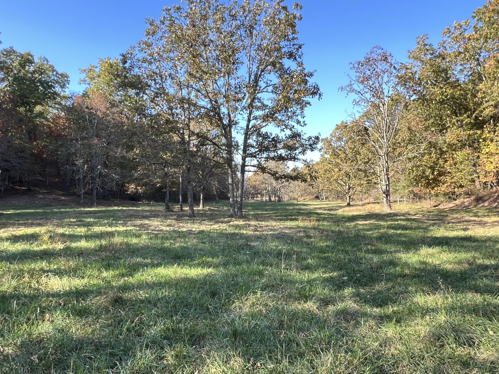 264 County Road 1130 Property Photo 96
