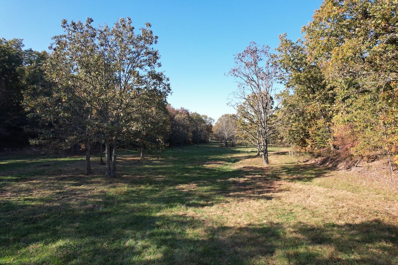264 County Road 1130 Property Photo 97