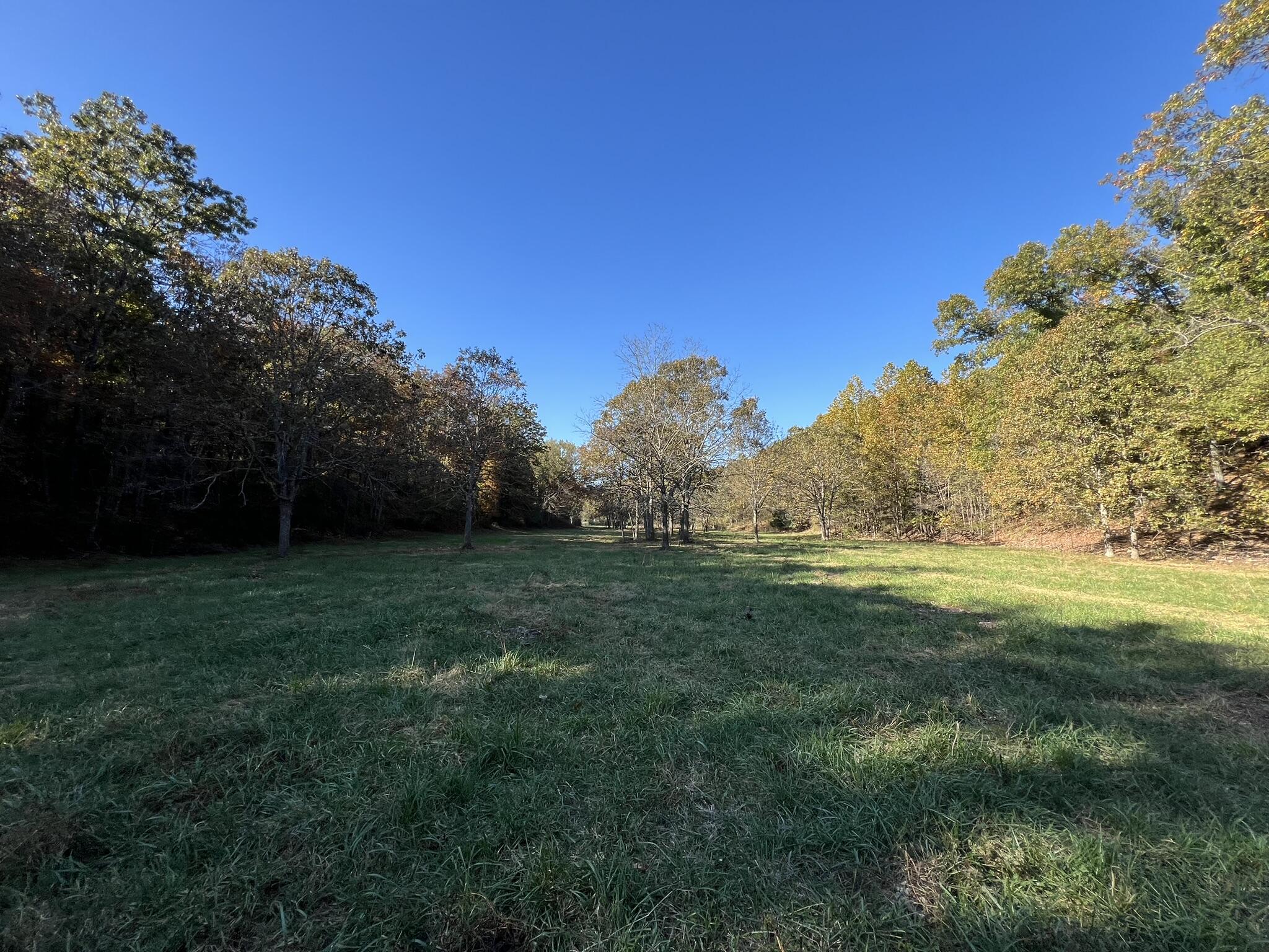 264 County Road 1130 Property Photo 98