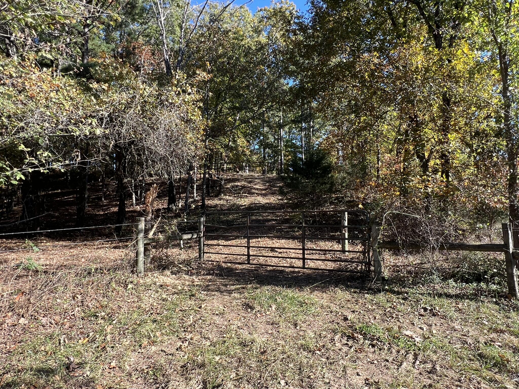 264 County Road 1130 Property Photo 99