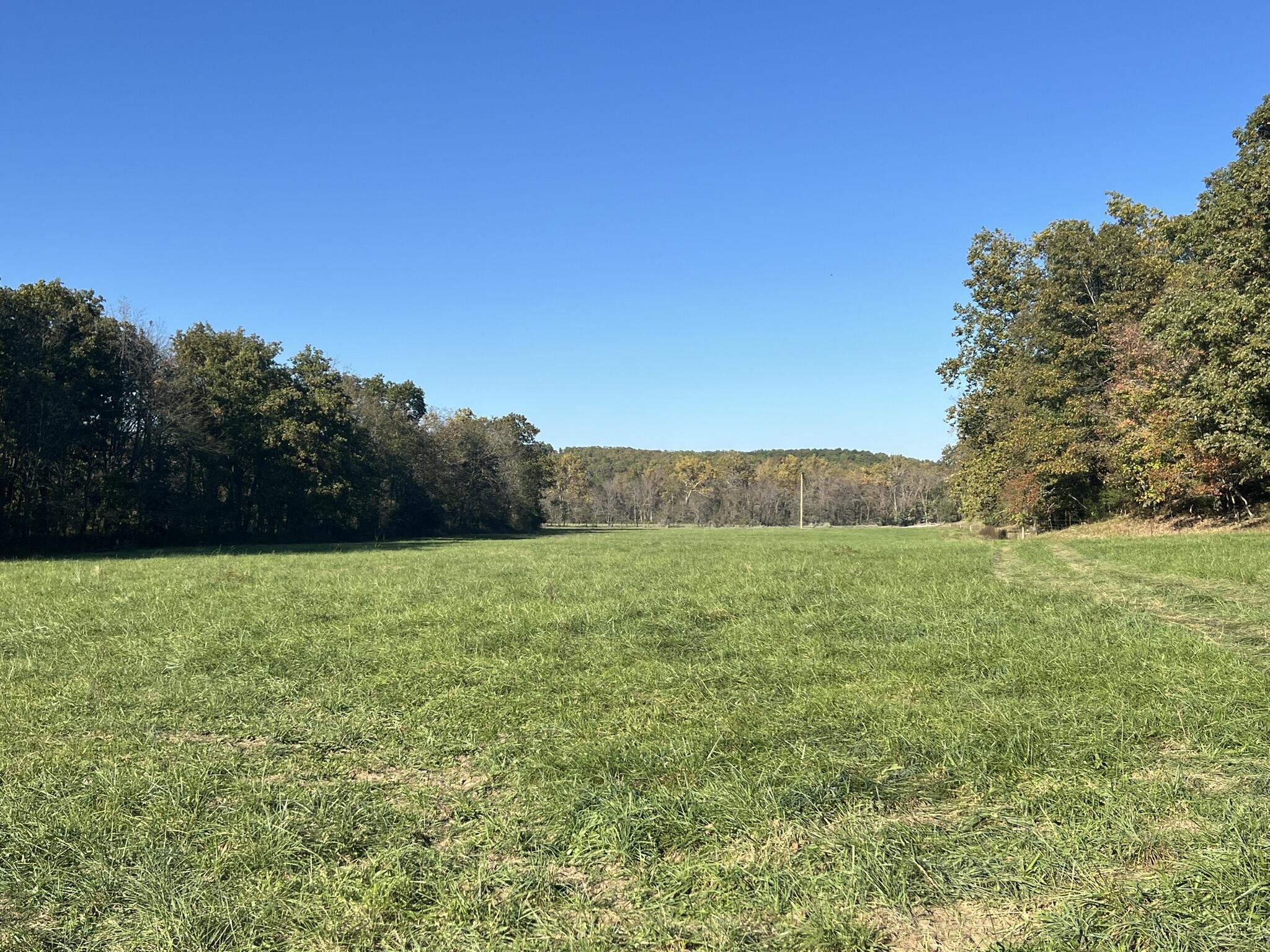 264 County Road 1130 Property Photo 101