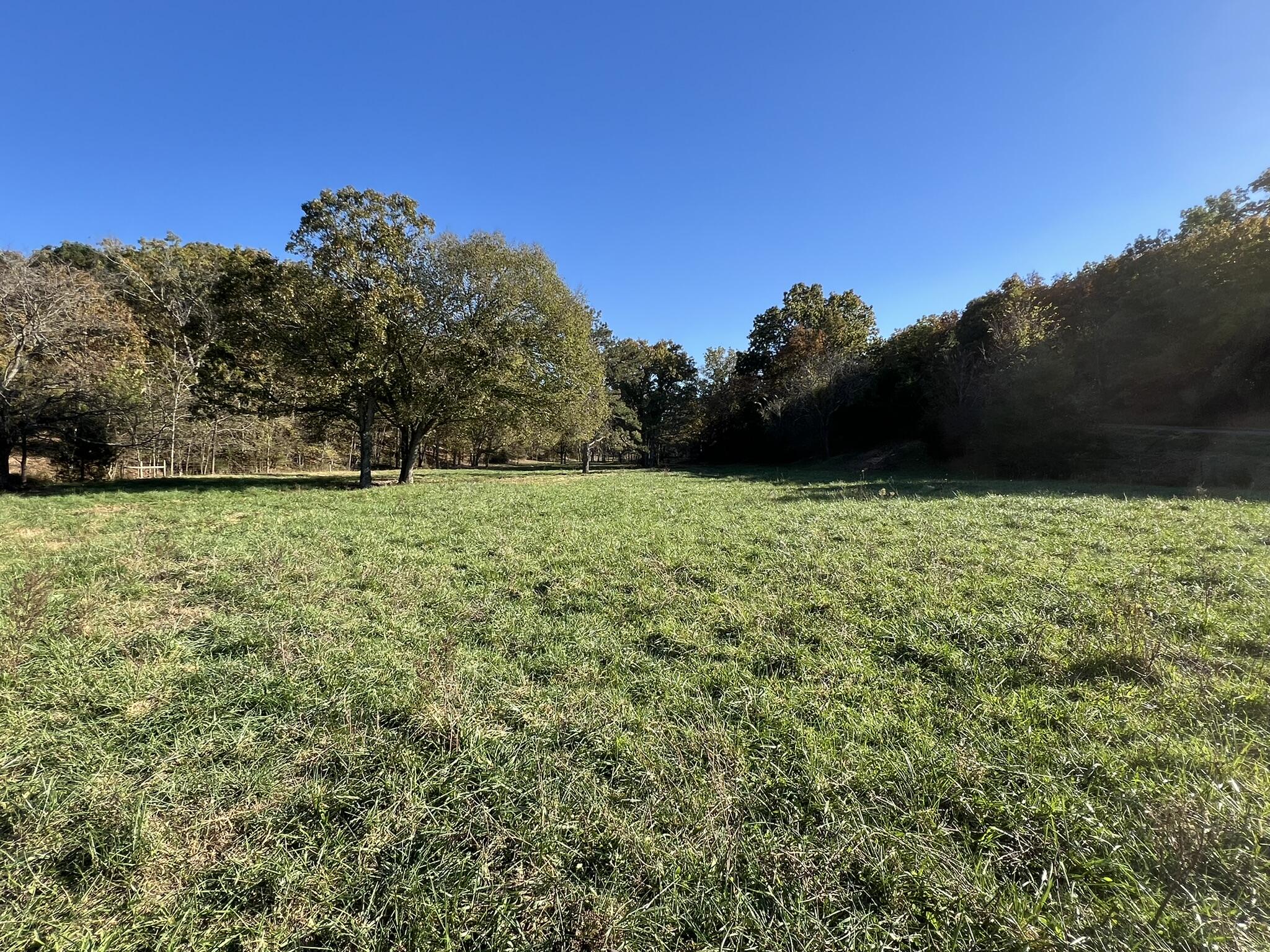 264 County Road 1130 Property Photo 102