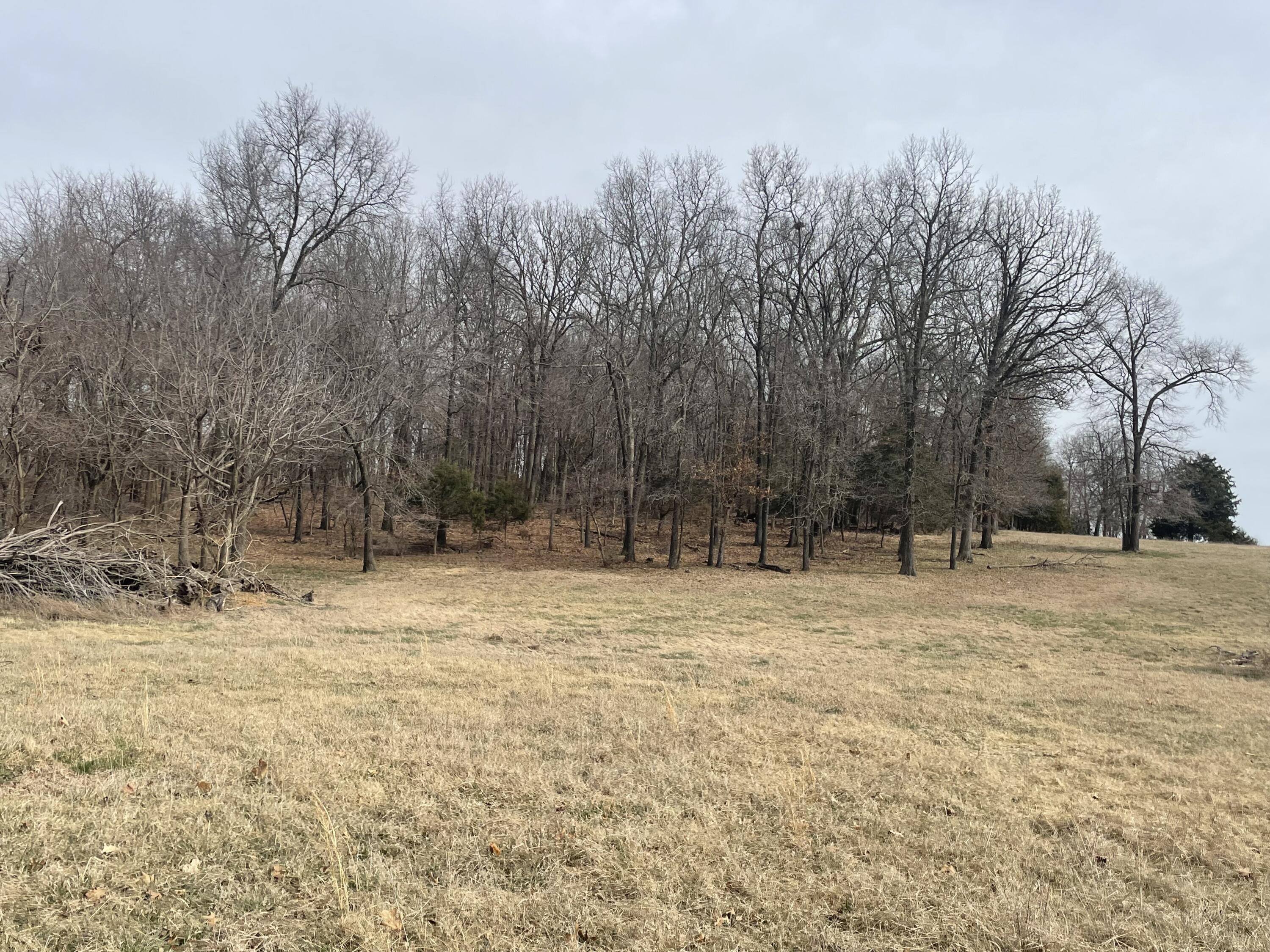 000 Mcdonald Road Property Photo 14