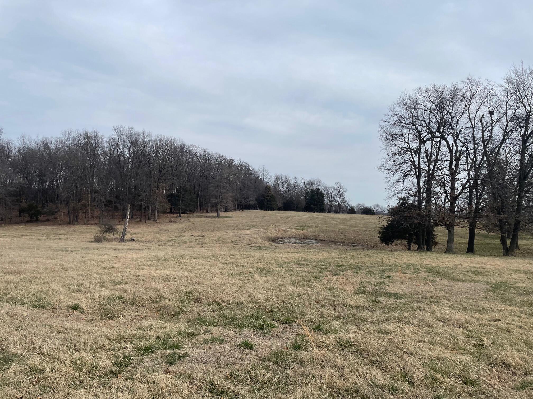 000 Mcdonald Road Property Photo 15