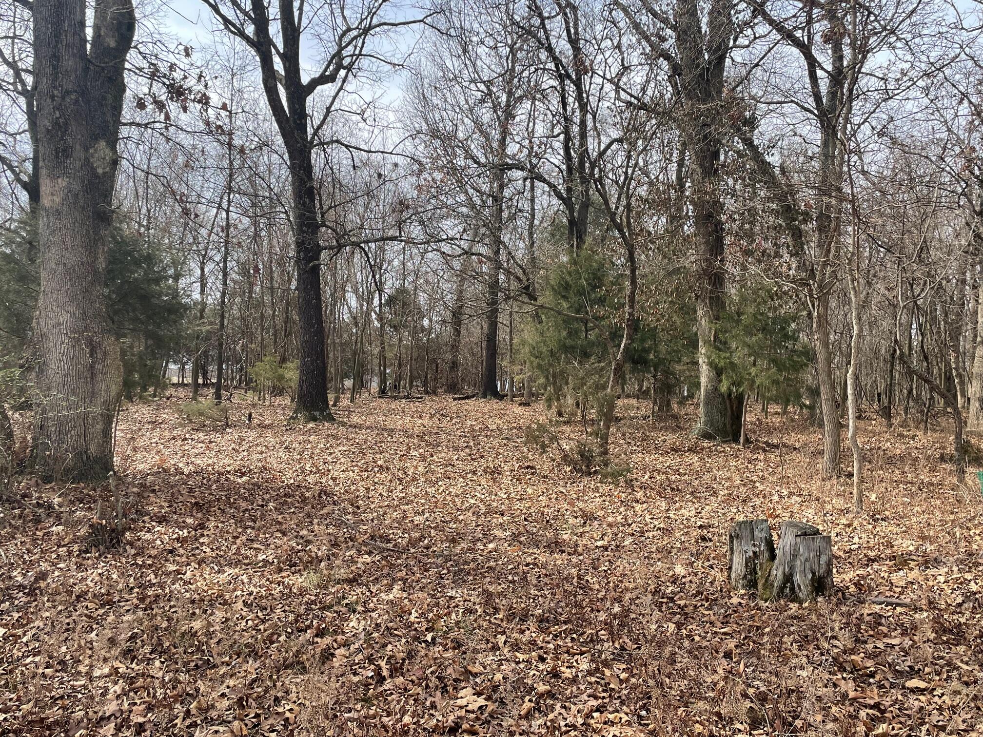 000 Mcdonald Road Property Photo 17