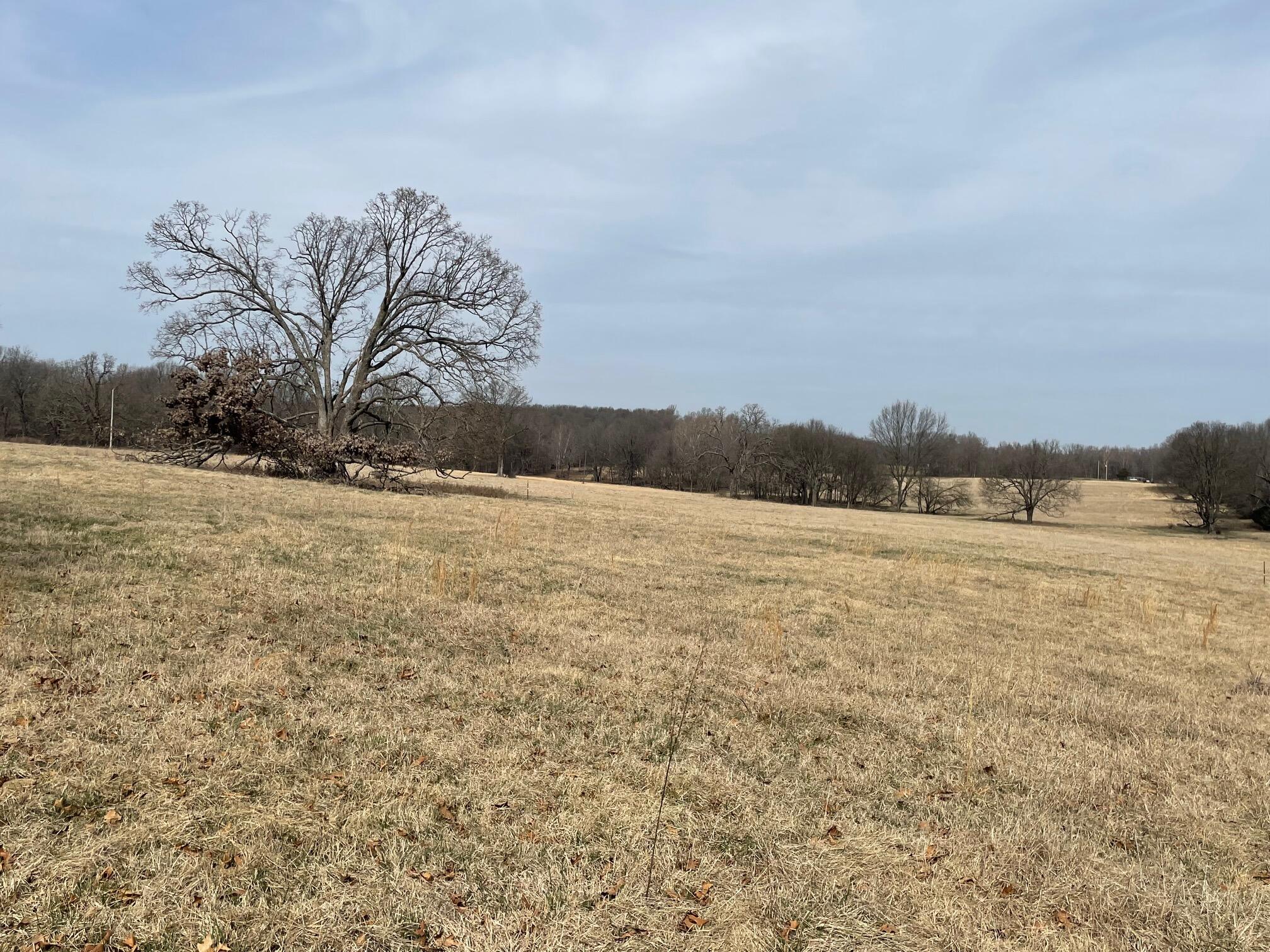 000 Mcdonald Road Property Photo 18