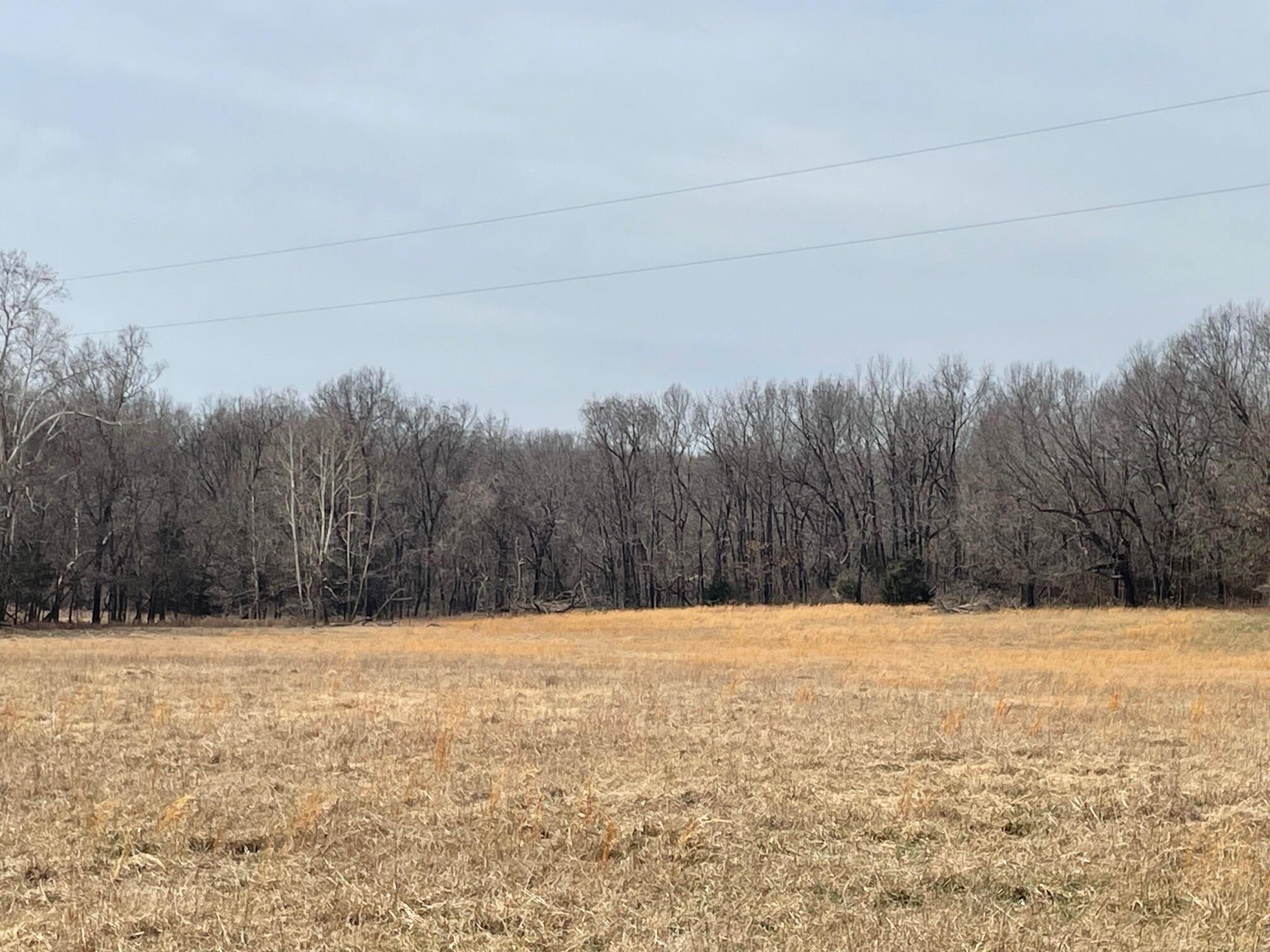 000 Mcdonald Road Property Photo 19