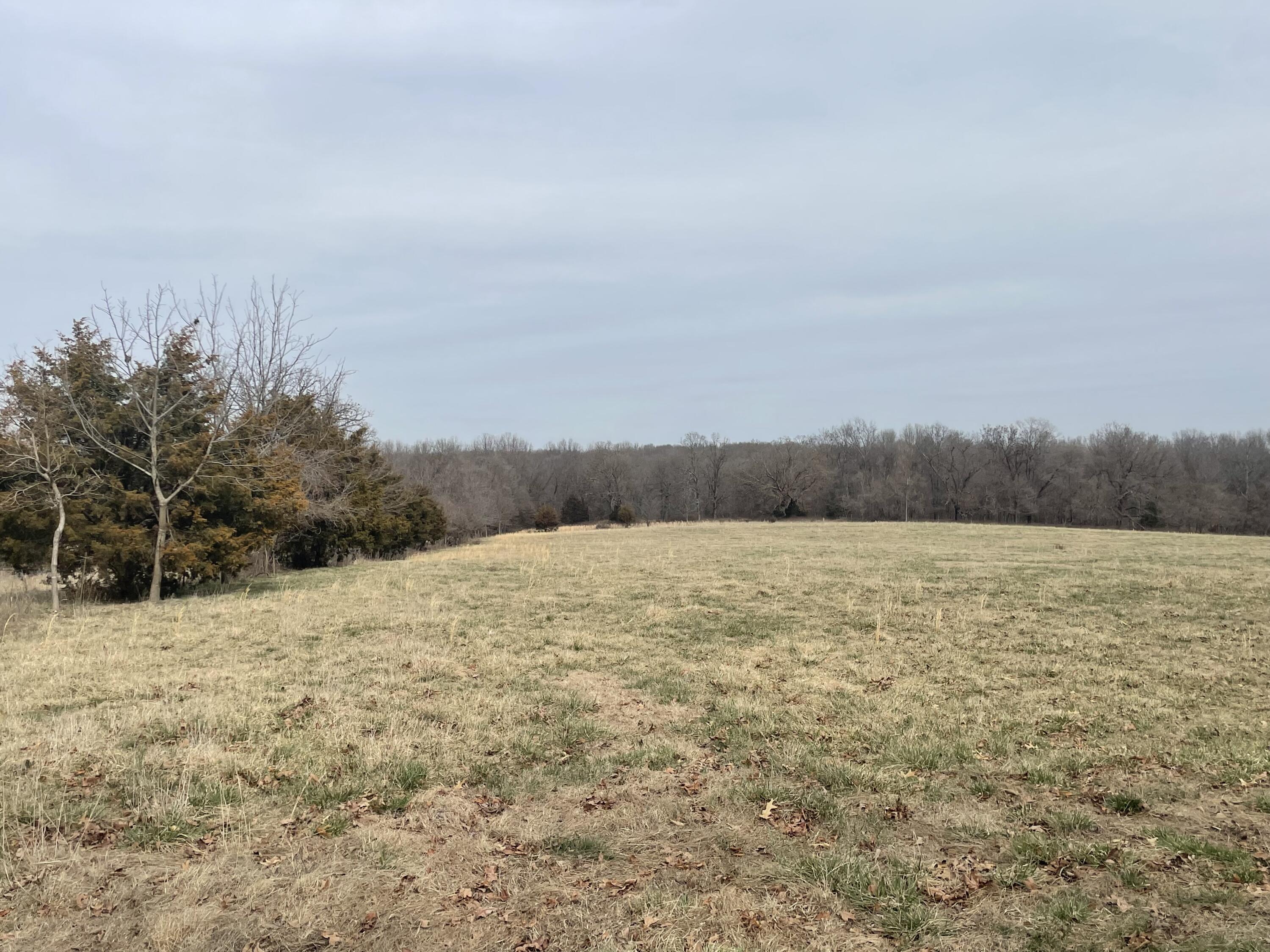 000 Mcdonald Road Property Photo 20