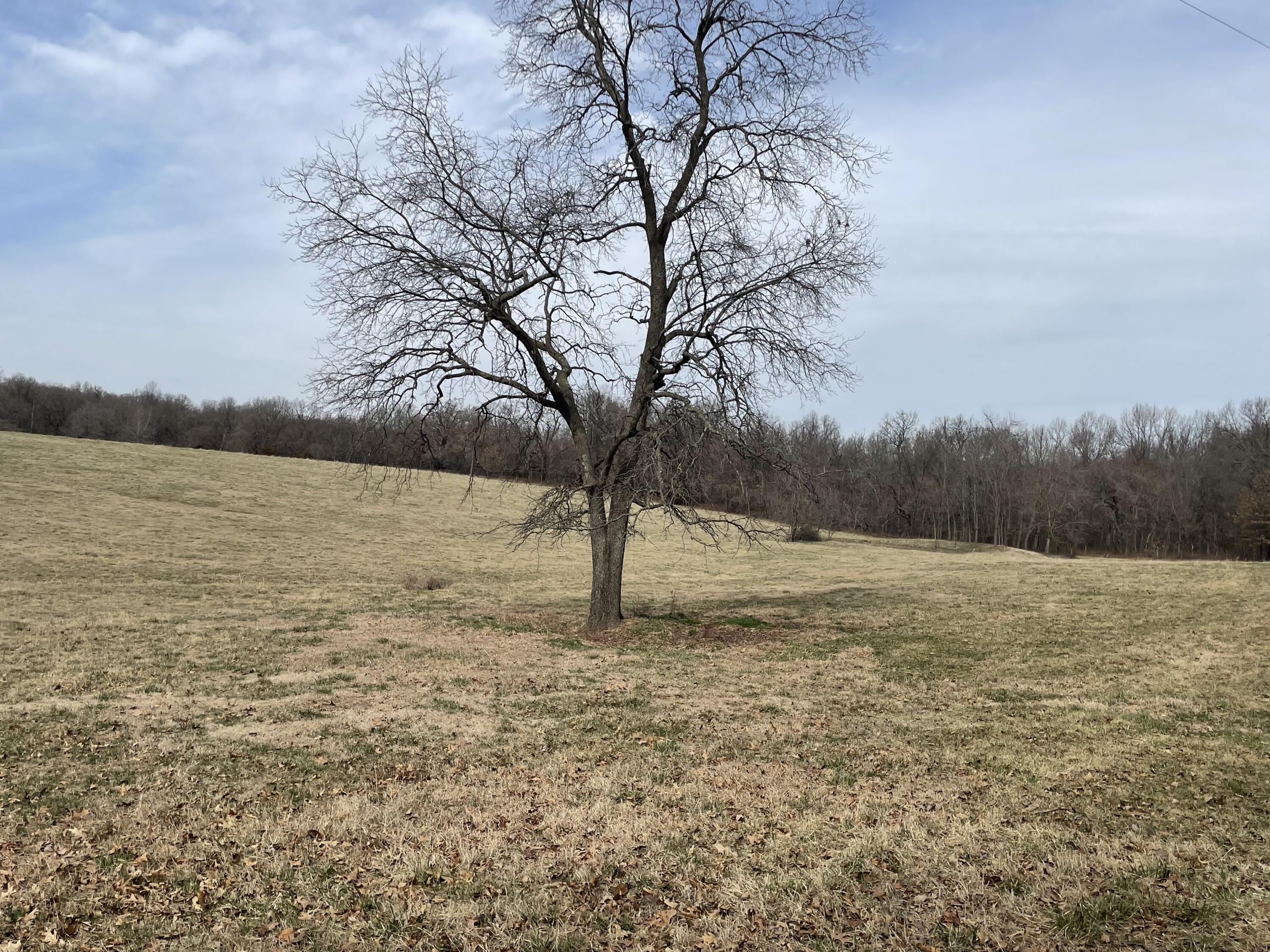 000 Mcdonald Road Property Photo 25
