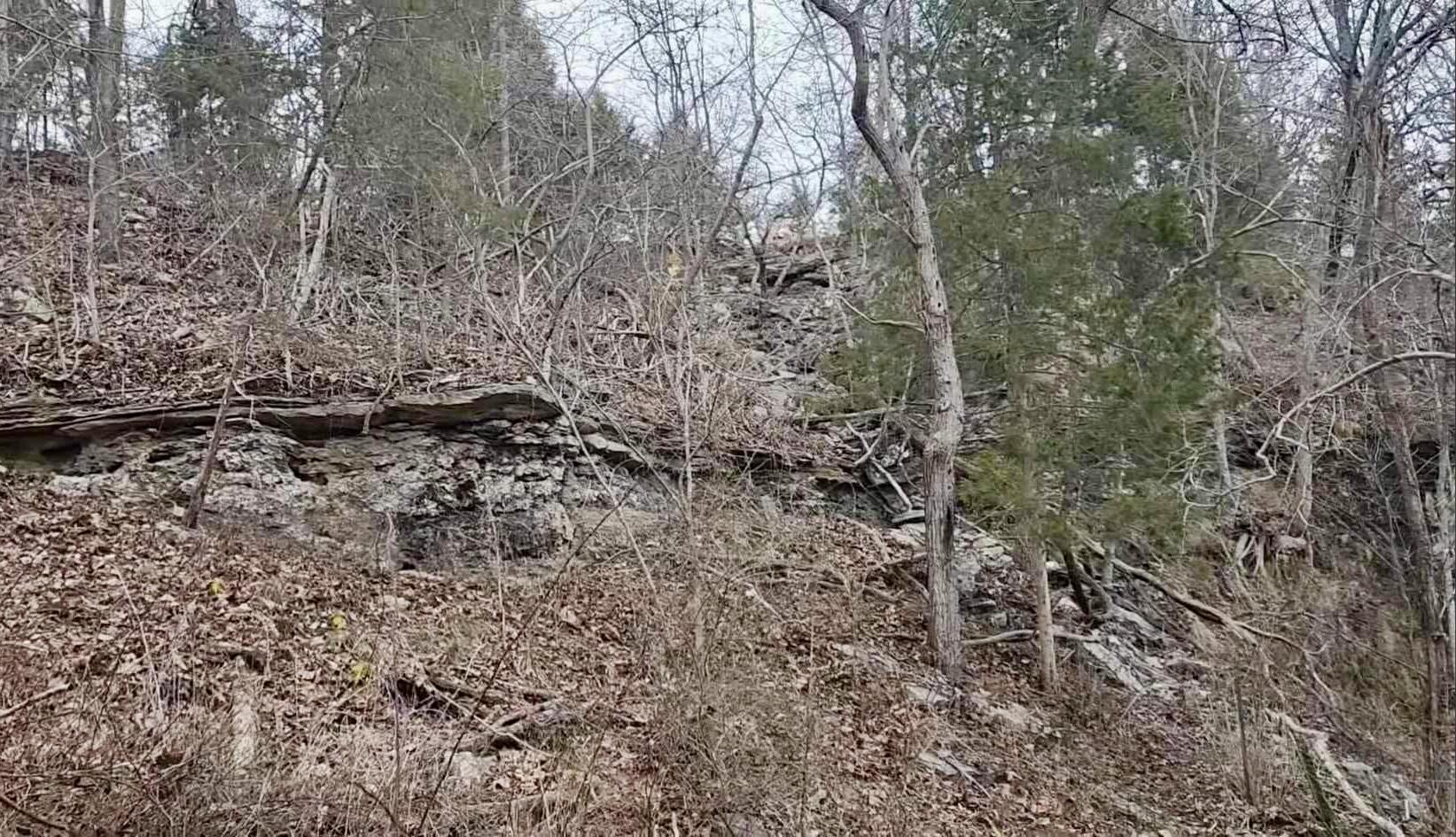Tbd Highway E Property Photo 5