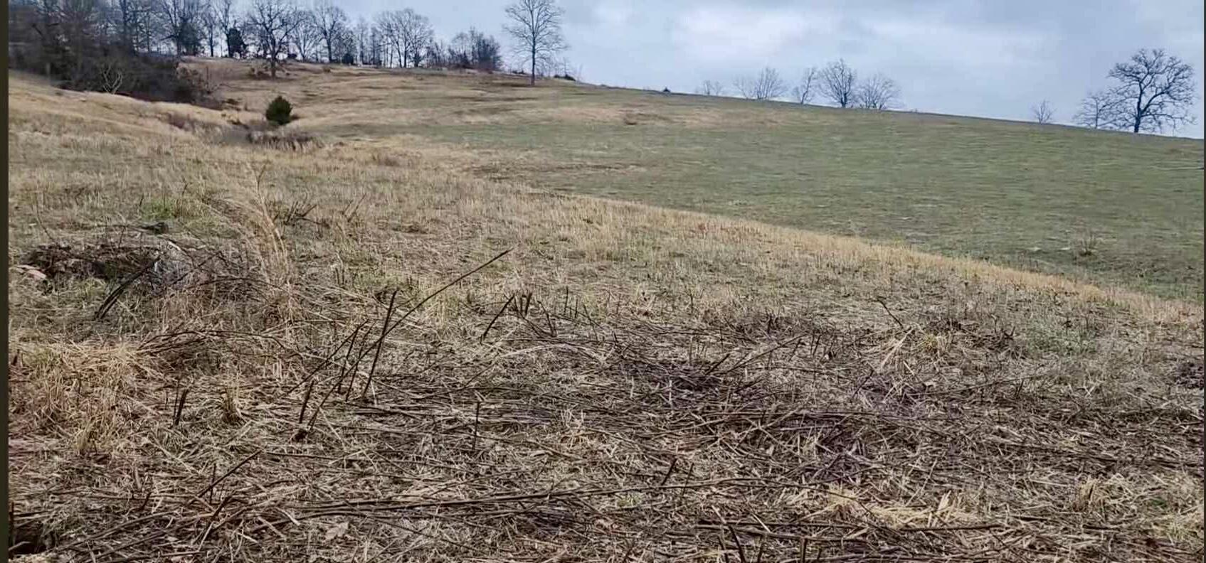 Tbd Highway E Property Photo 9