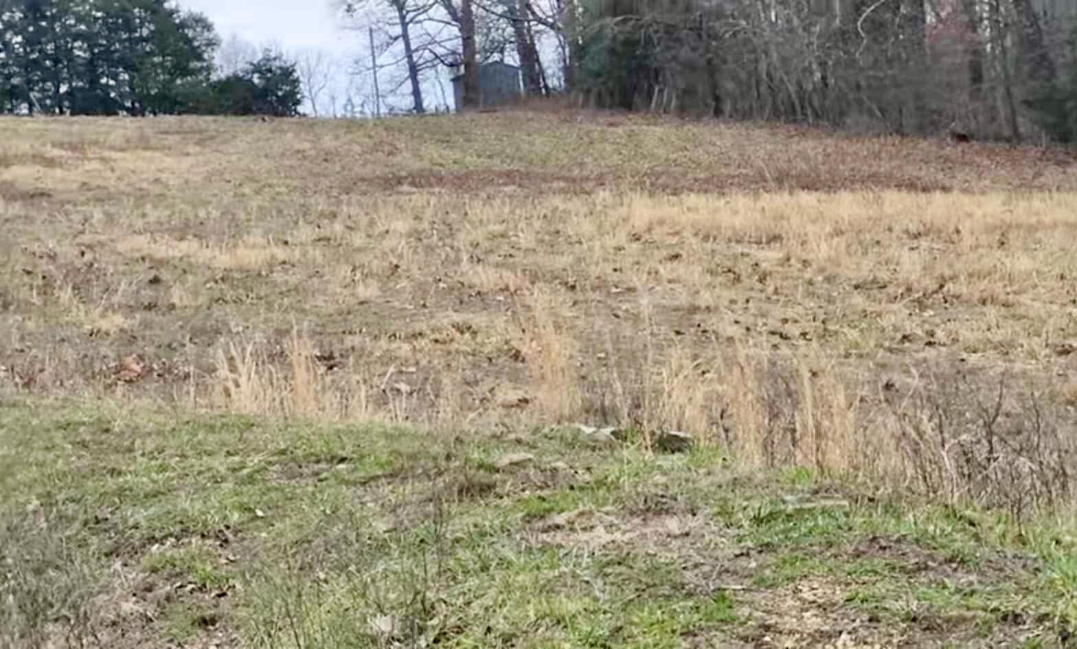 Tbd Highway E Property Photo 13