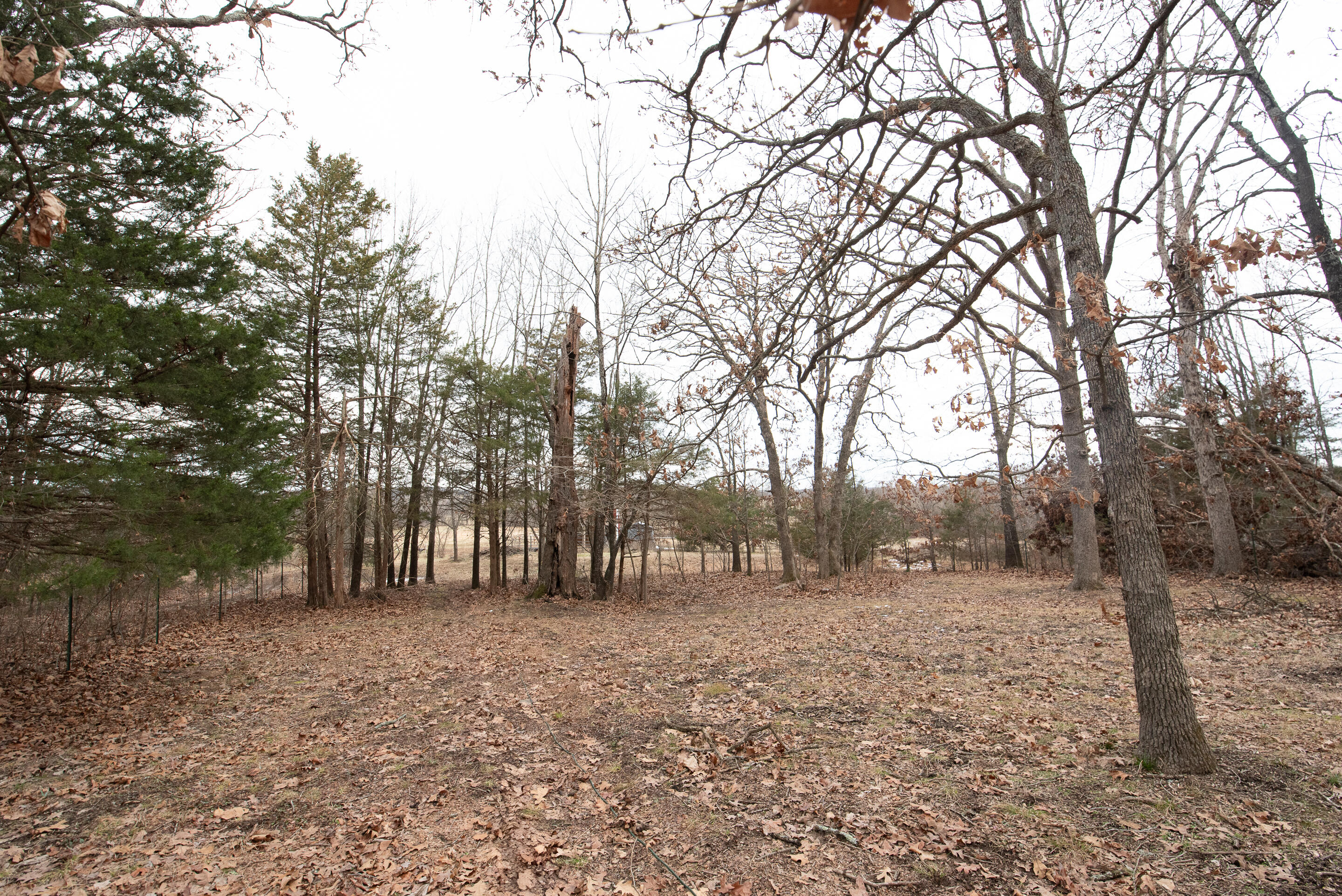444 Old Oak Hill Road Property Photo 86