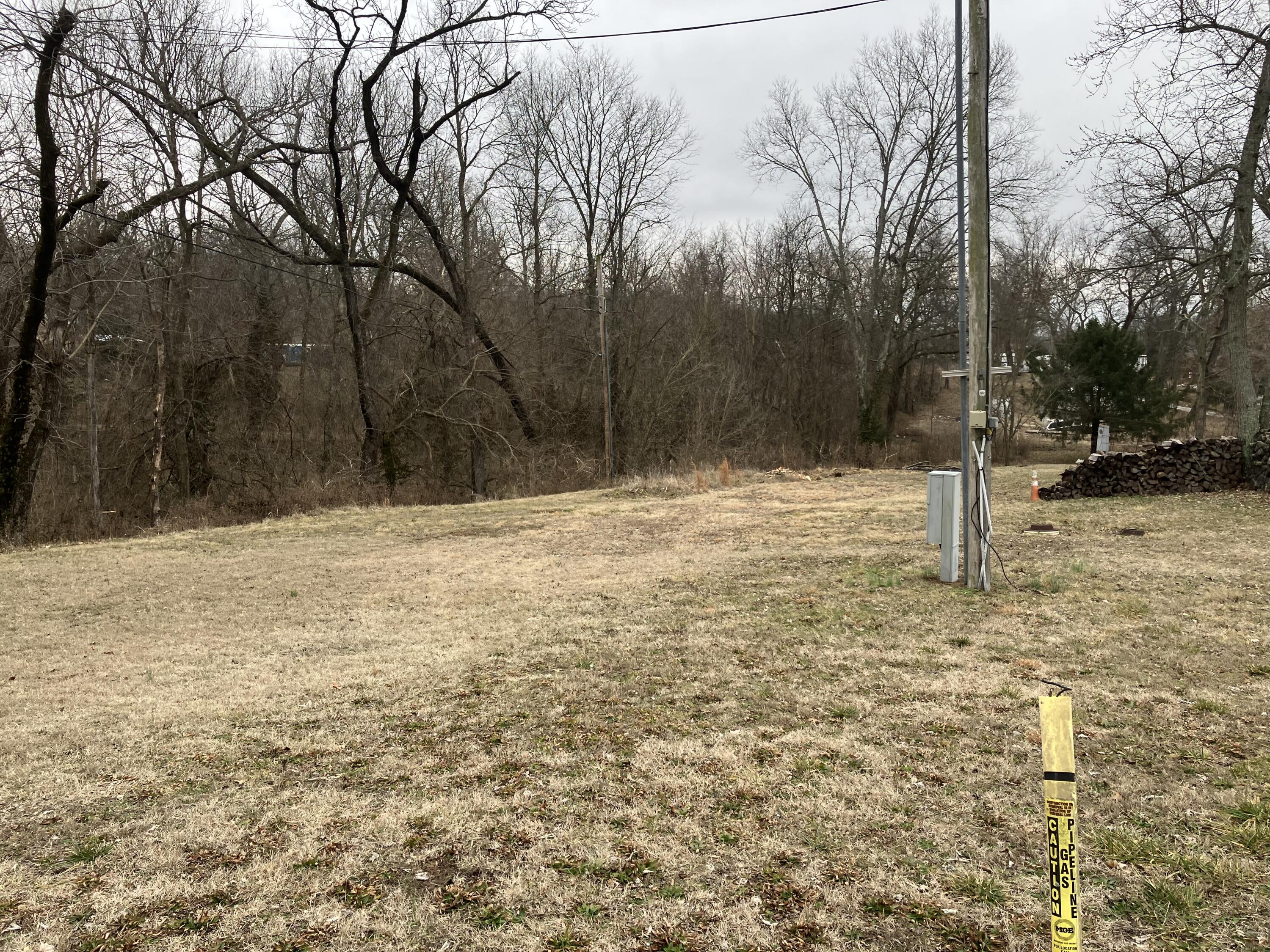 1596 West Crossland Street Property Photo 2