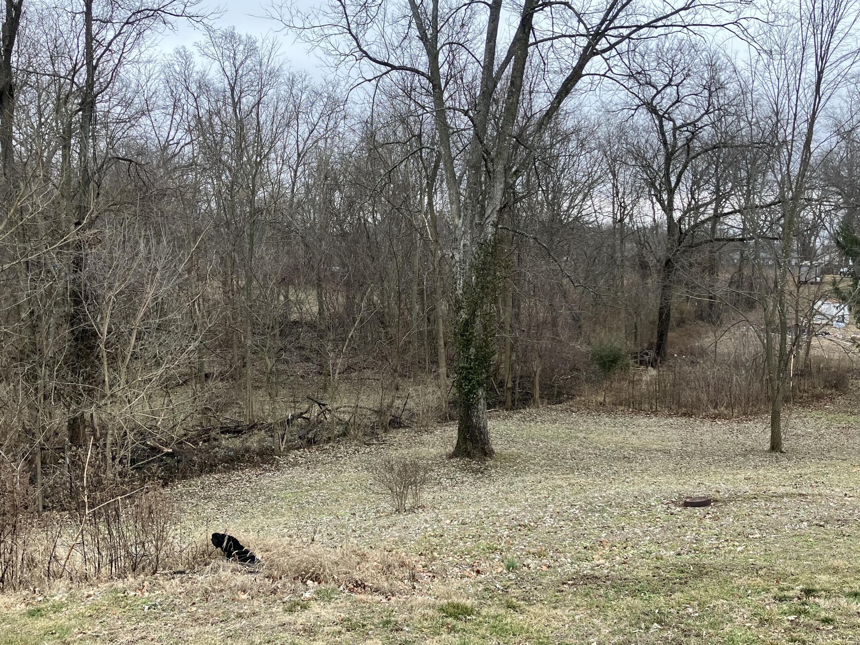 1596 West Crossland Street Property Photo 4