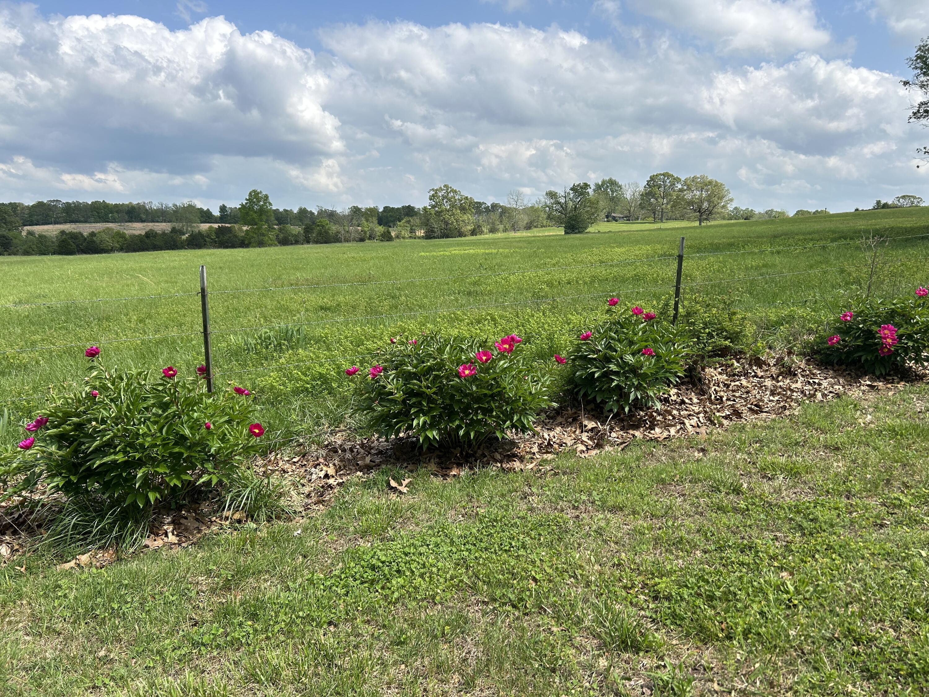 7738 P Highway Property Photo 7