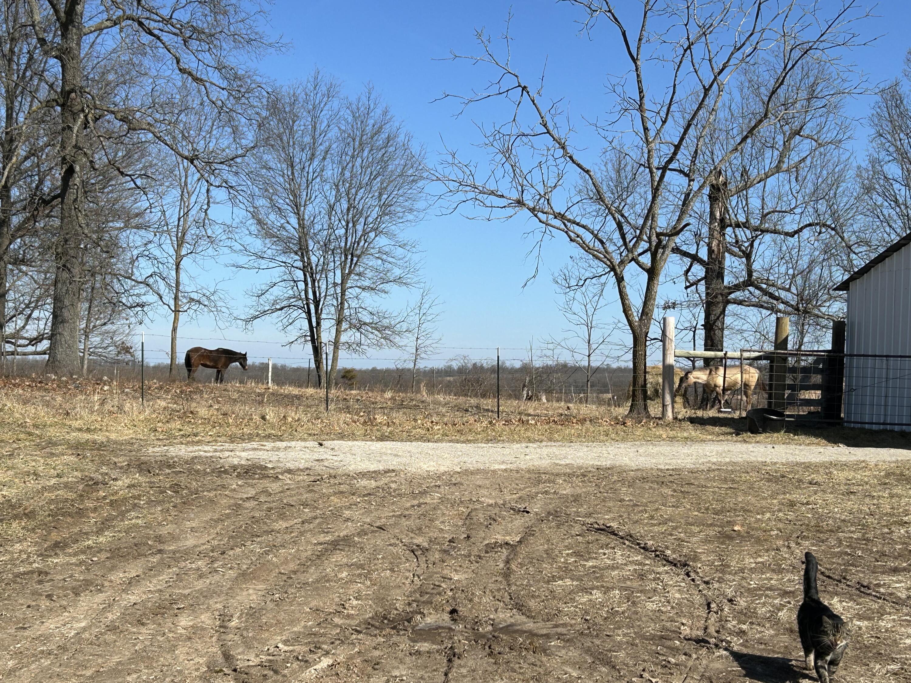 7738 P Highway Property Photo 11
