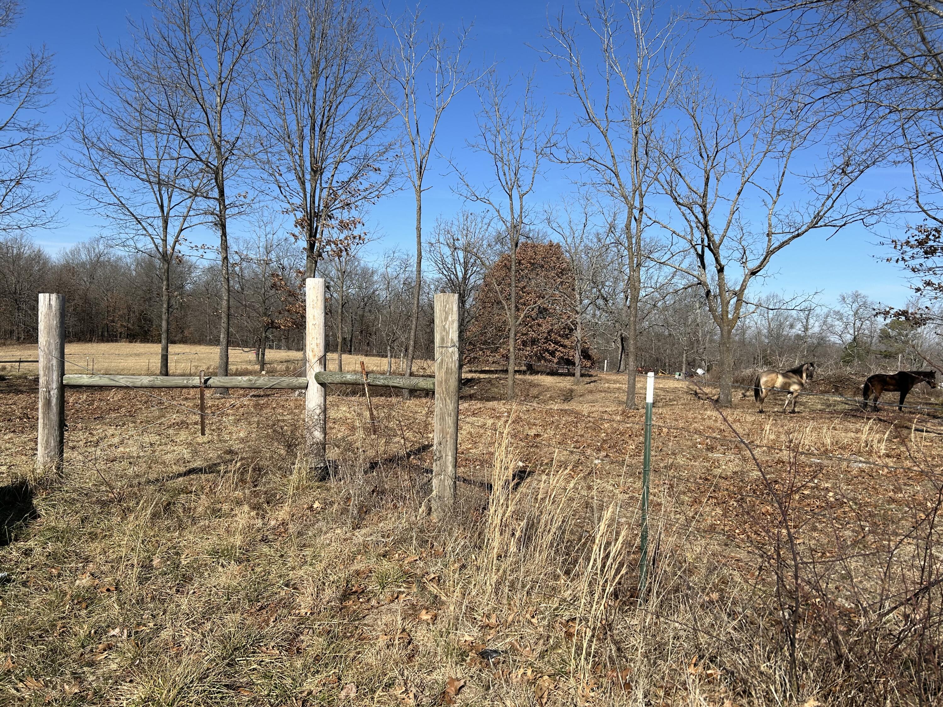 7738 P Highway Property Photo 41
